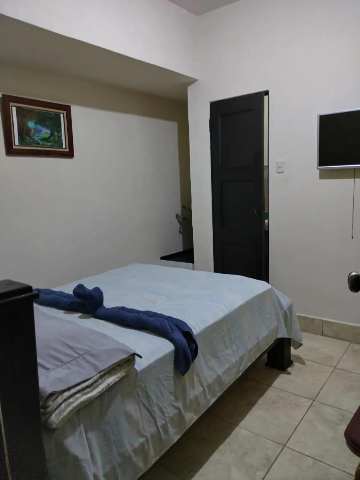 Bed in Hotel Trianon