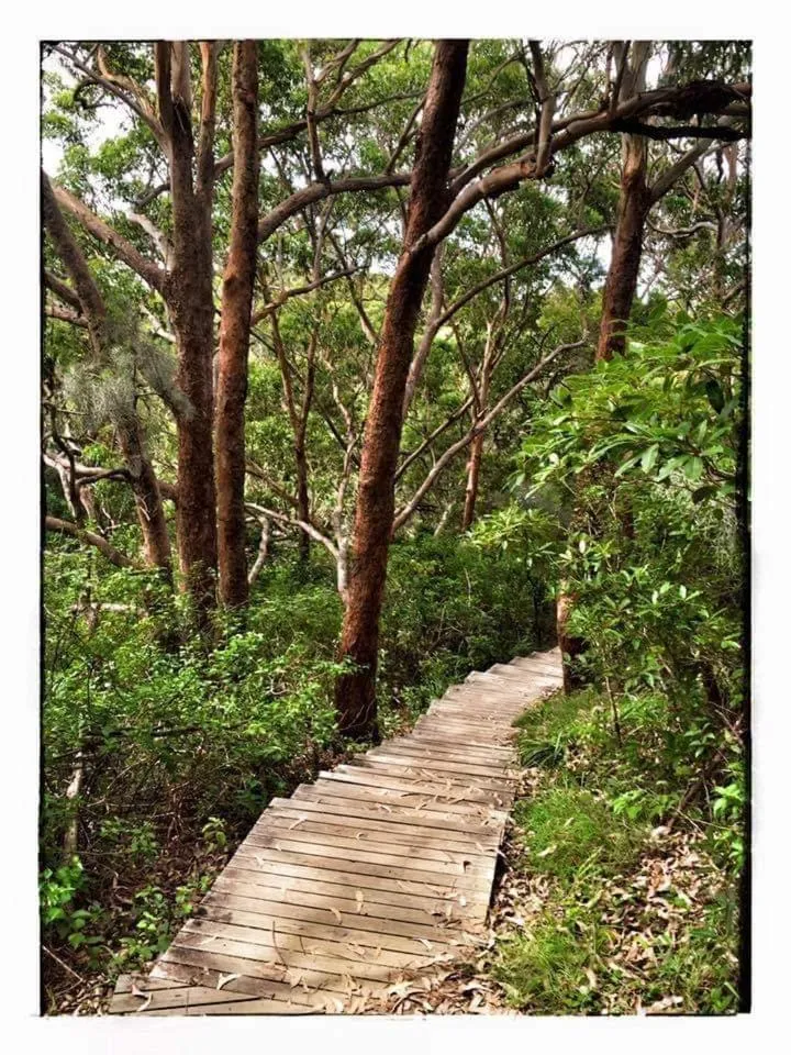 Natural landscape in Bay House Motel