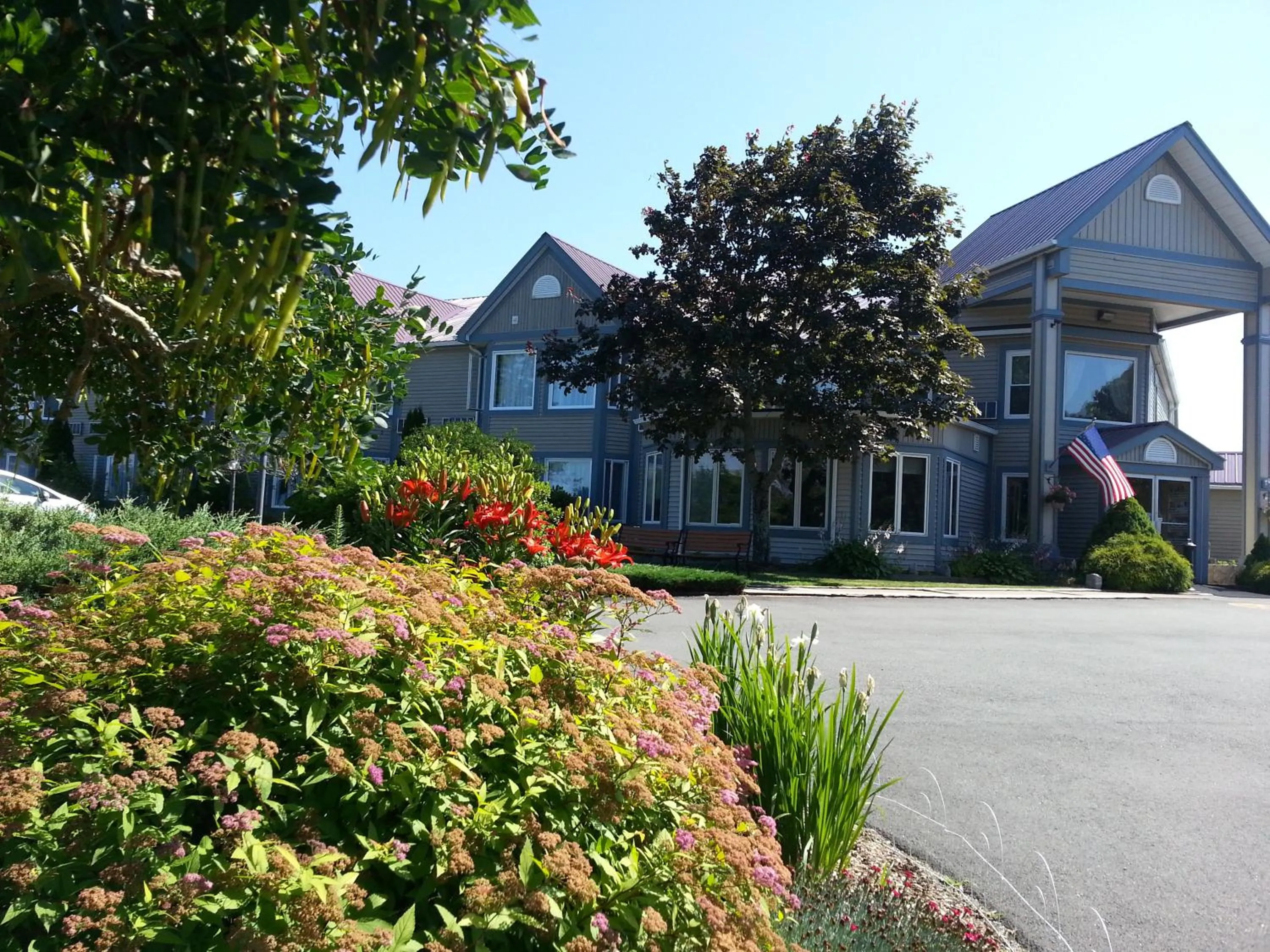 Garden in Granite Town Hotel