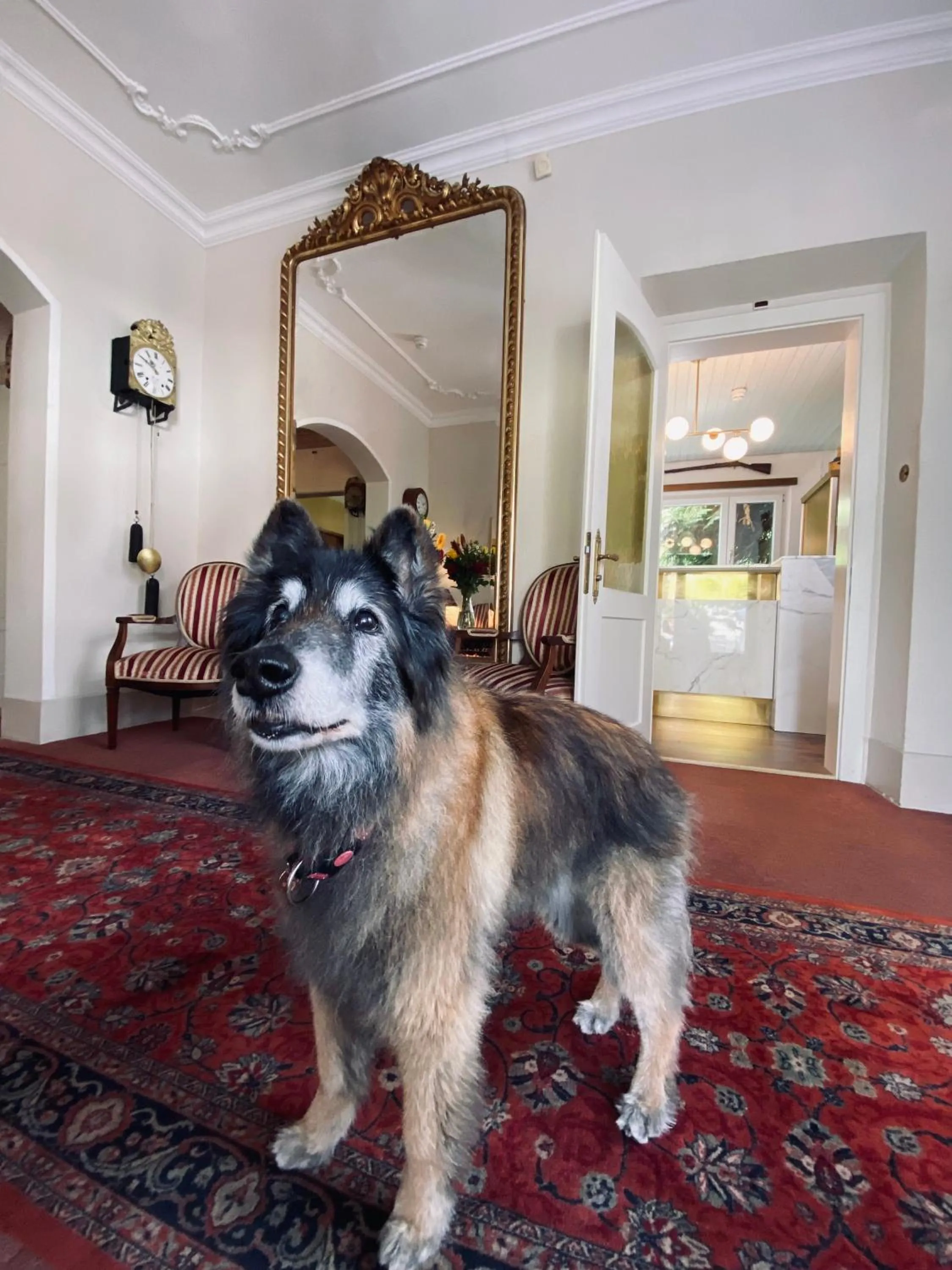 Property building in Hotel De La Paix