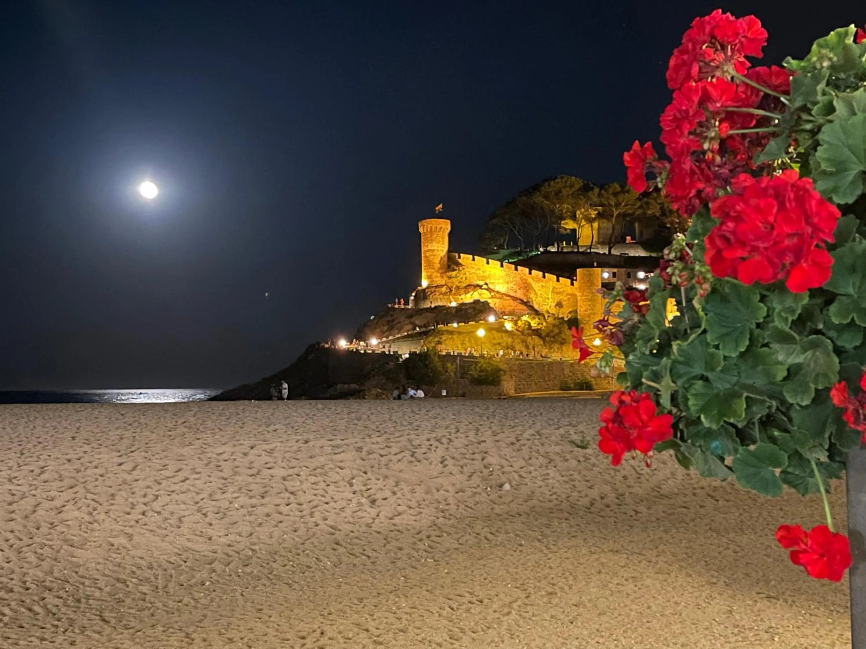 Nearby landmark in P&R hostals Can Tort