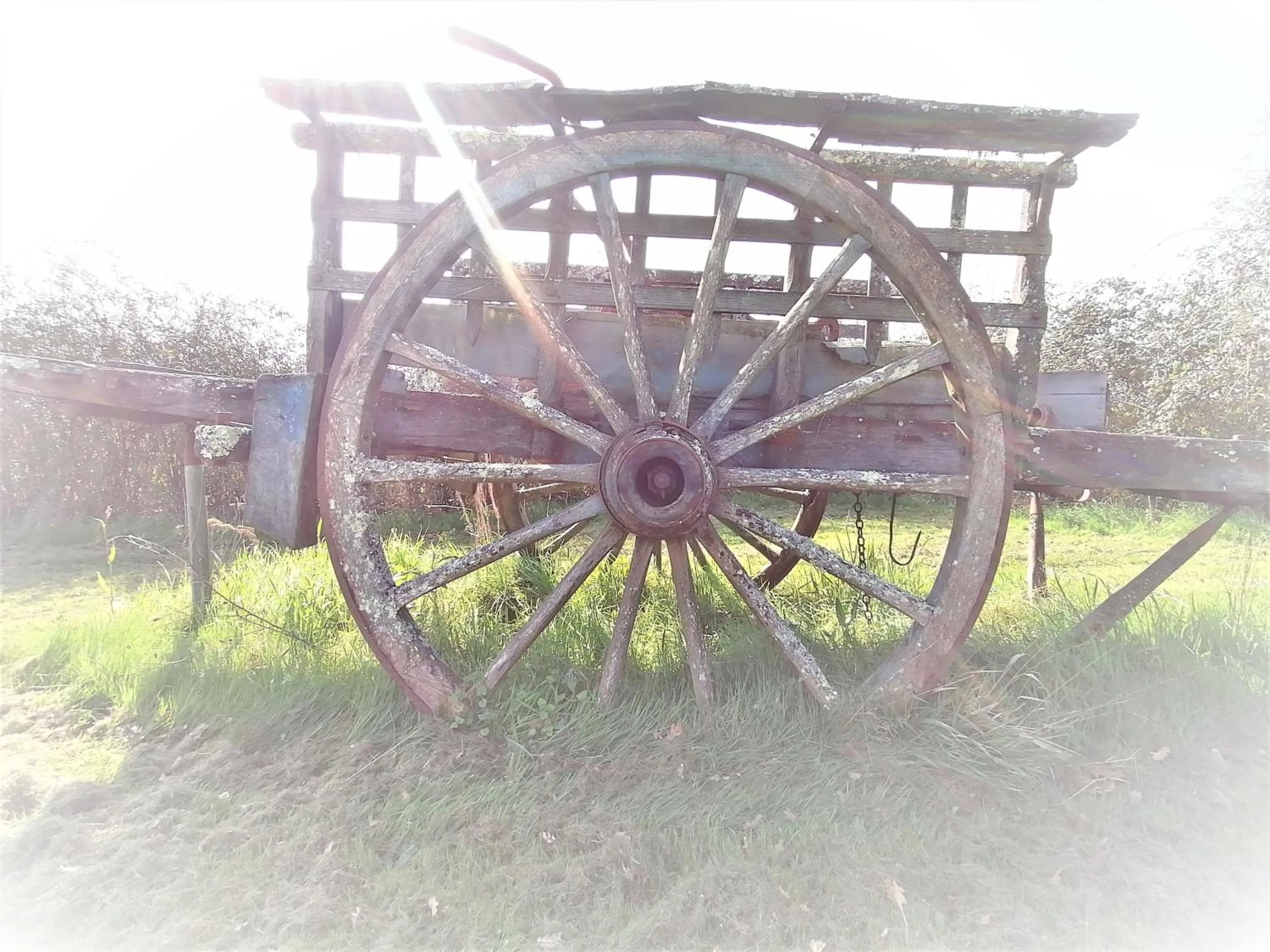 Domaine de Gaïa, Piscine, Pétanque, Ping Pong, proche Saint-Emilion