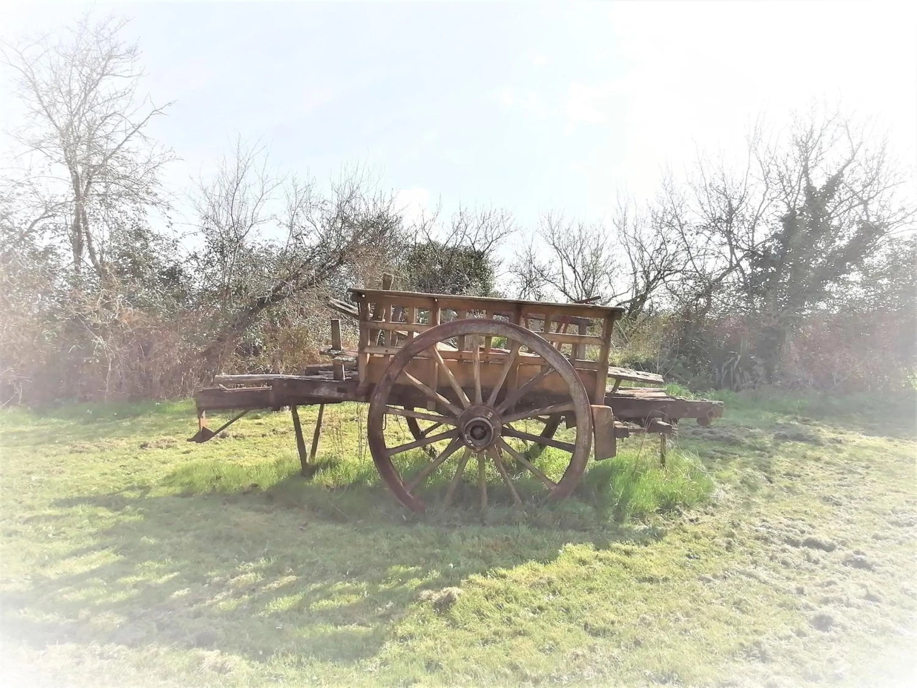 Natural landscape in Domaine de Gaïa, Piscine, Pétanque, Ping Pong, proche Saint-Emilion