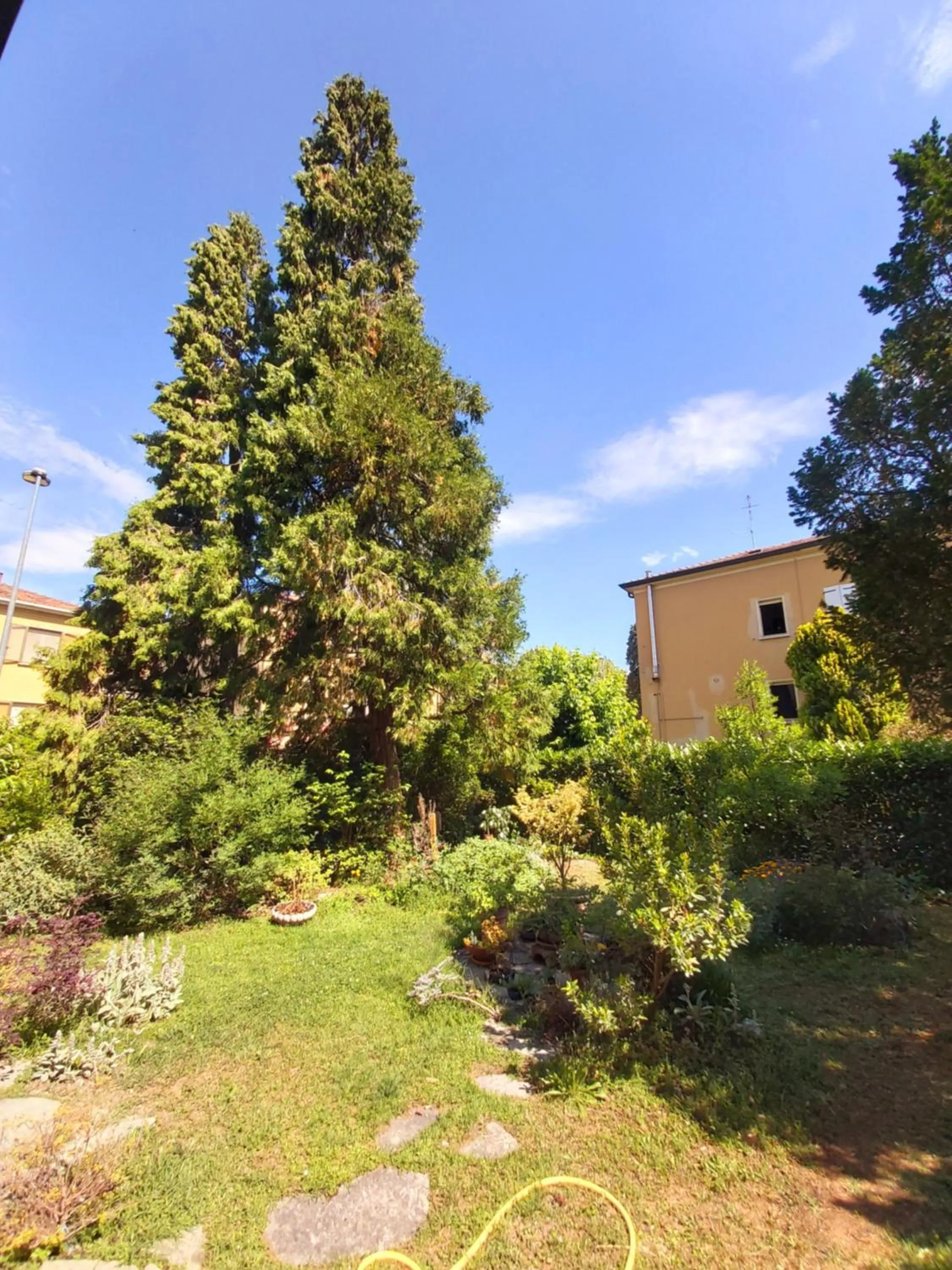 B&b rustic chic Casa Salva