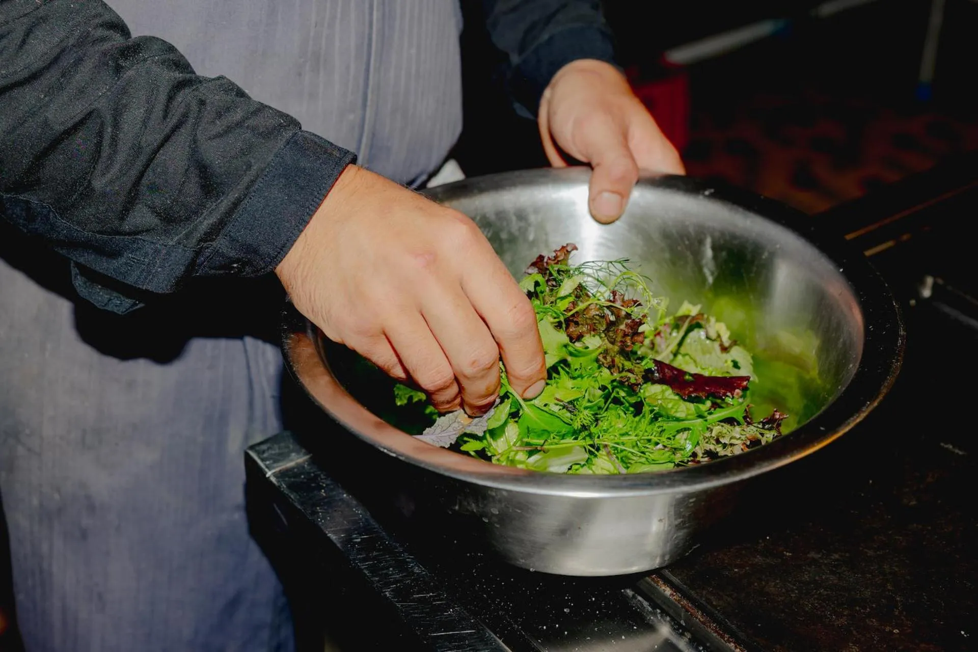 Gjaid-Alm 1739m am Dachstein-Only Accessible by Cable Car