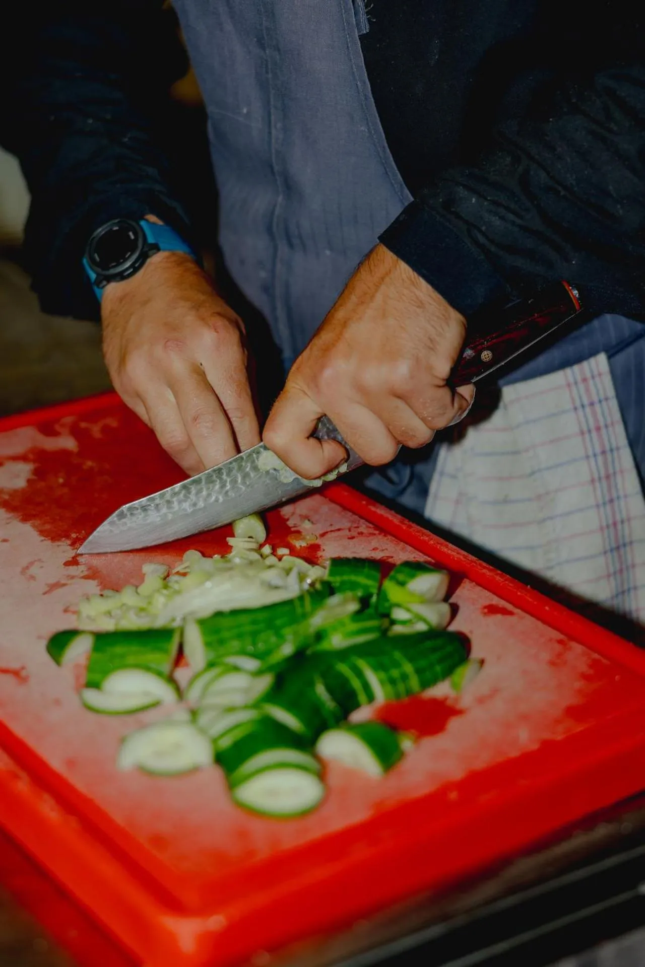 Gjaid-Alm 1739m am Dachstein-Only Accessible by Cable Car