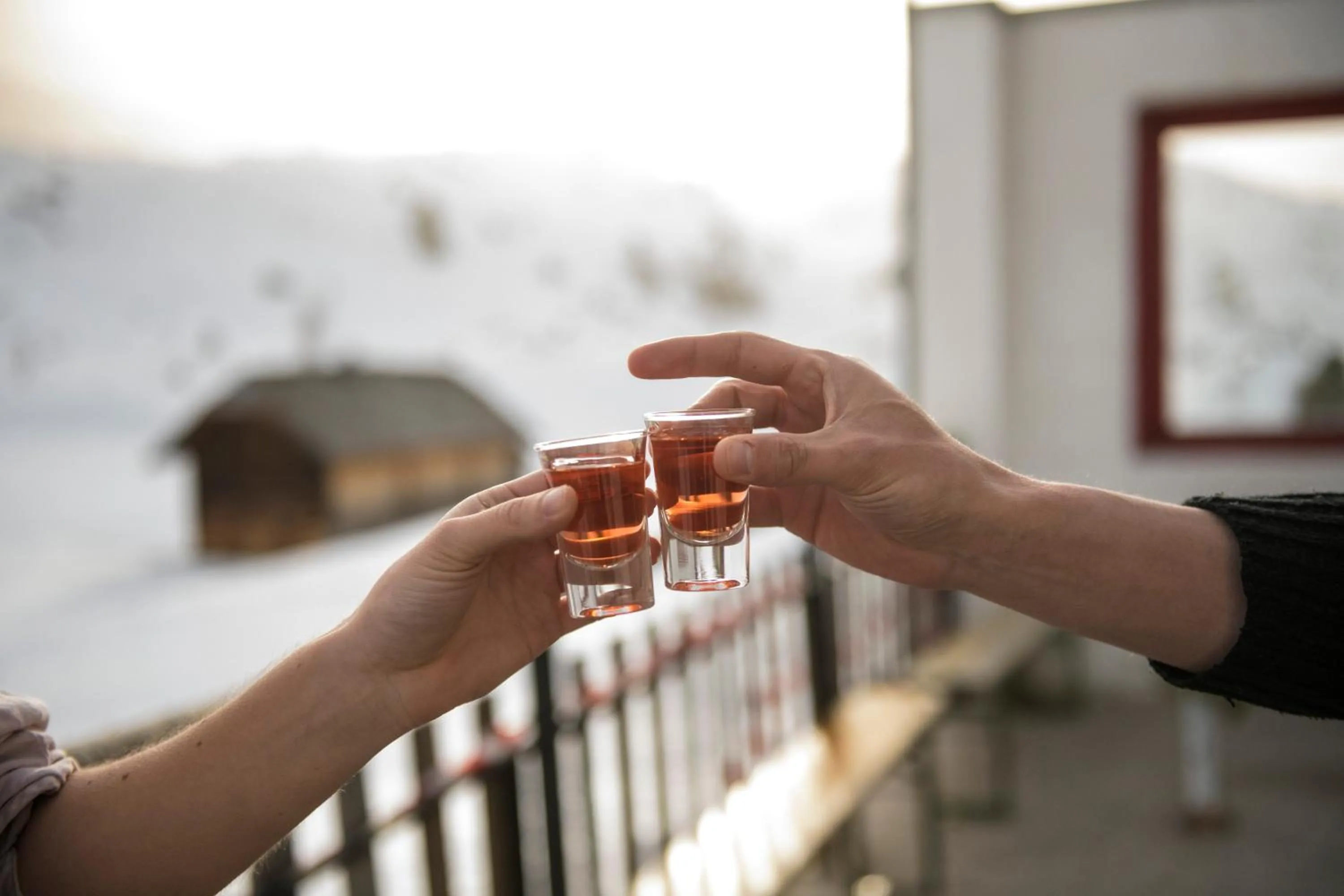 Gjaid-Alm 1739m am Dachstein-Only Accessible by Cable Car