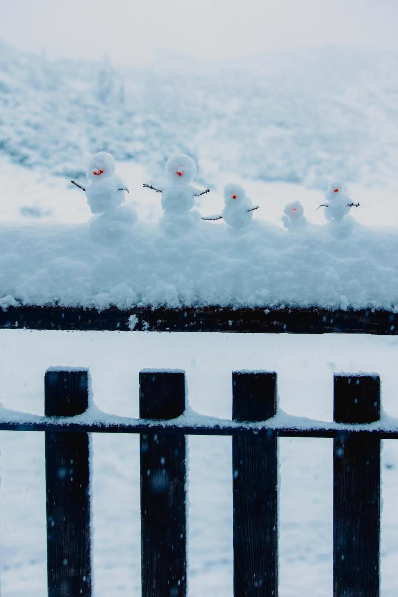 Gjaid-Alm 1739m am Dachstein-Only Accessible by Cable Car