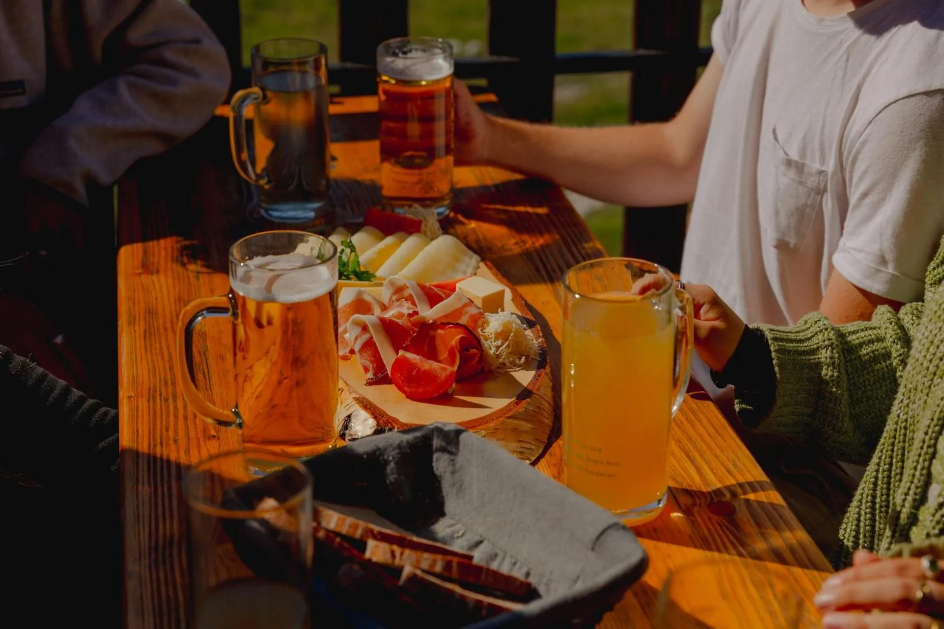 Gjaid-Alm 1739m am Dachstein-Only Accessible by Cable Car