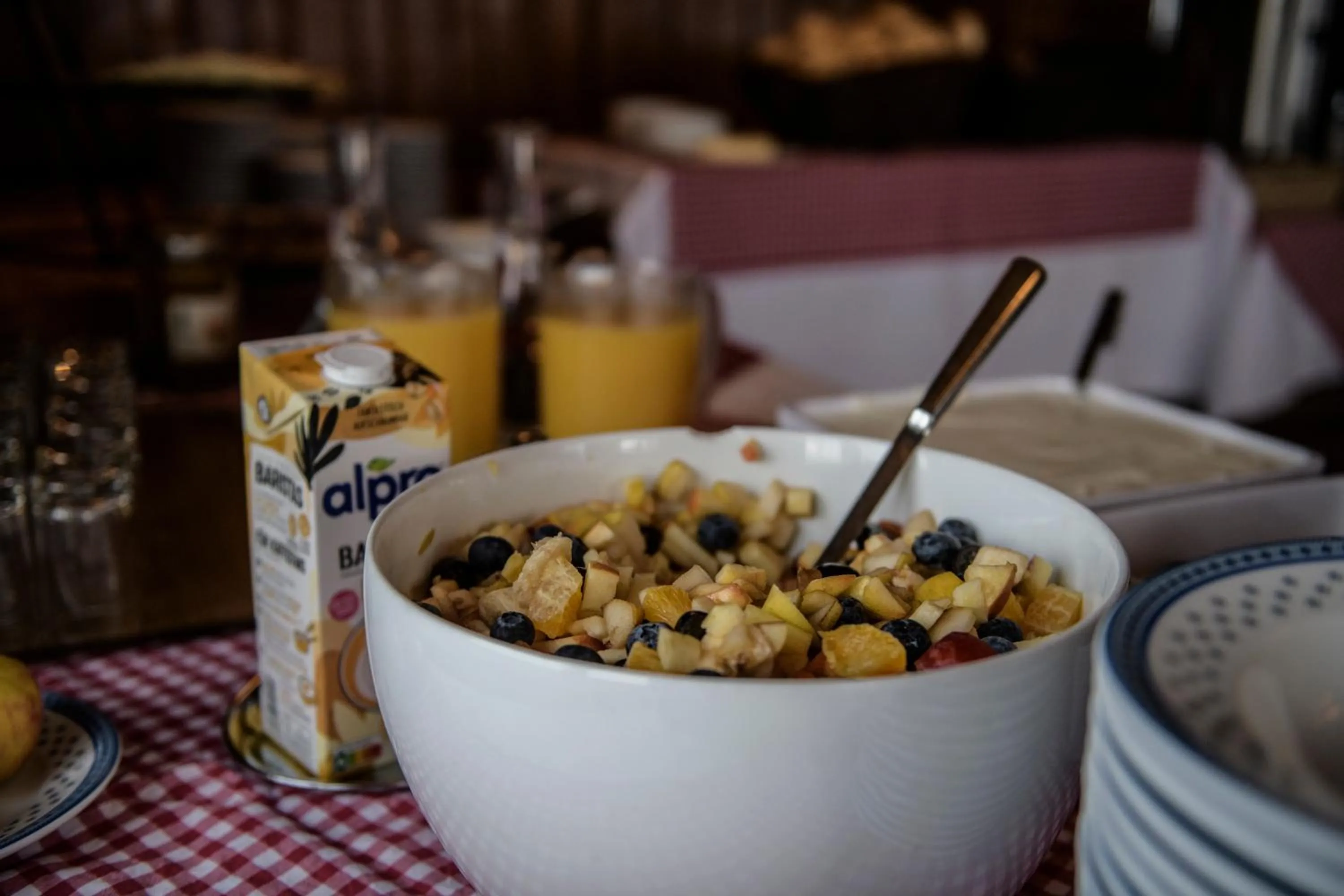 Gjaid-Alm 1739m am Dachstein-Only Accessible by Cable Car