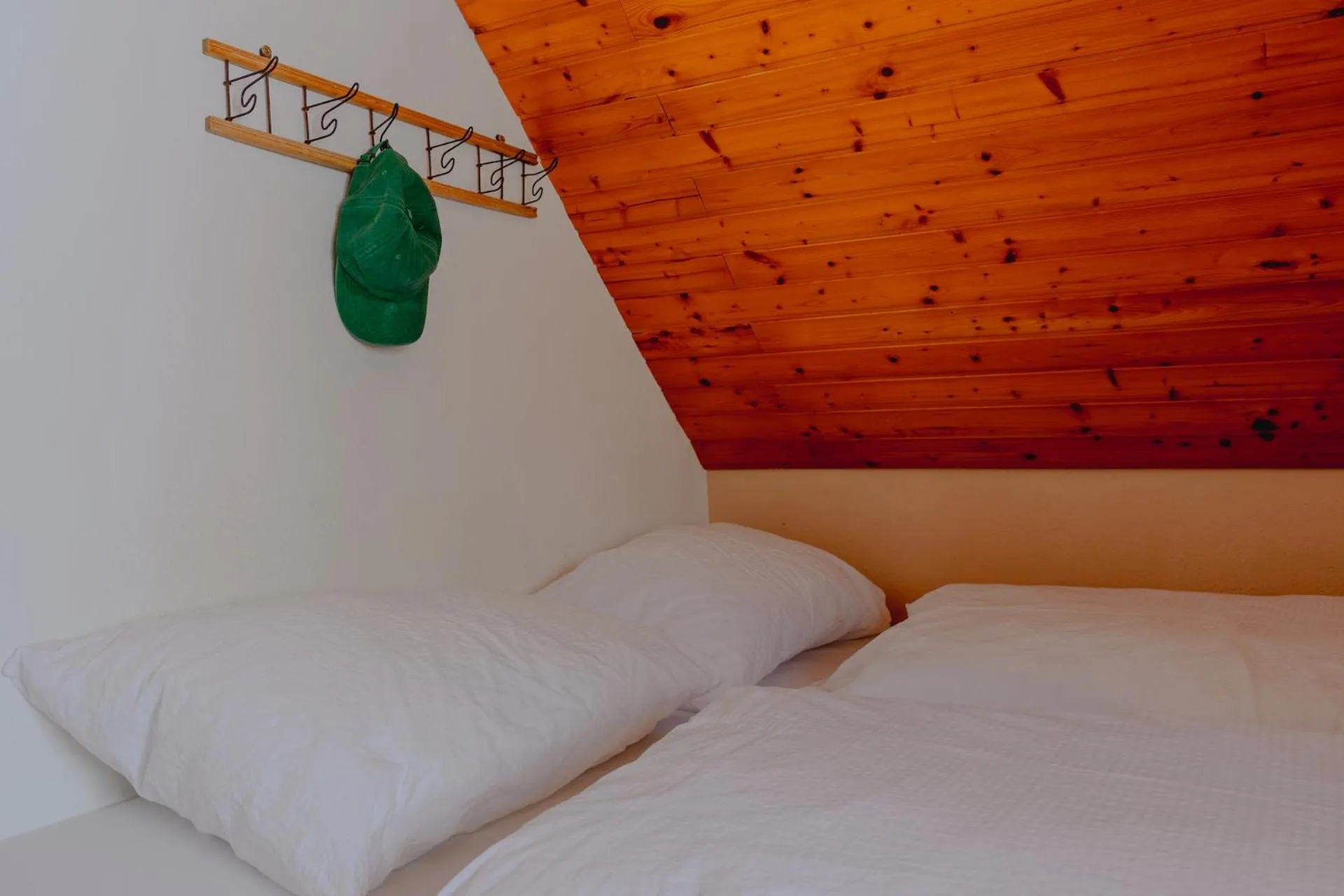 Bed in Gjaid-Alm 1739m am Dachstein-Only Accessible by Cable Car