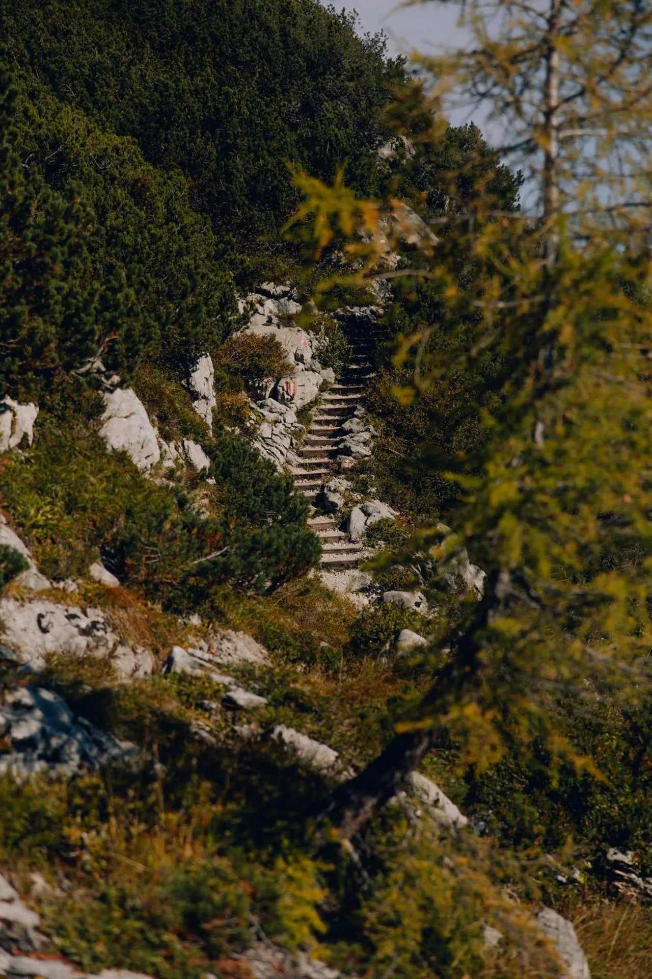 Gjaid-Alm 1739m am Dachstein-Only Accessible by Cable Car