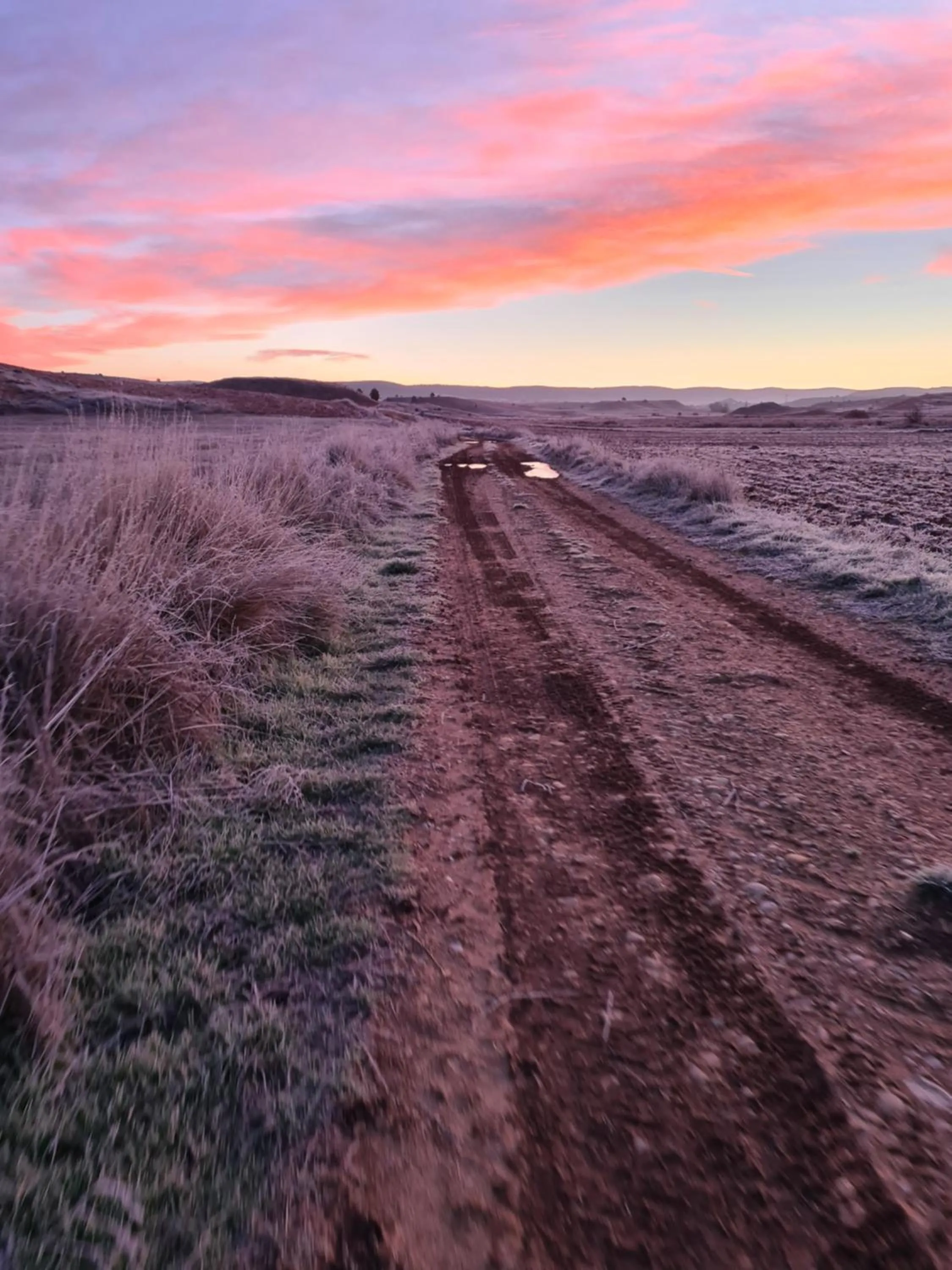 Property building in La Quinta de Malu