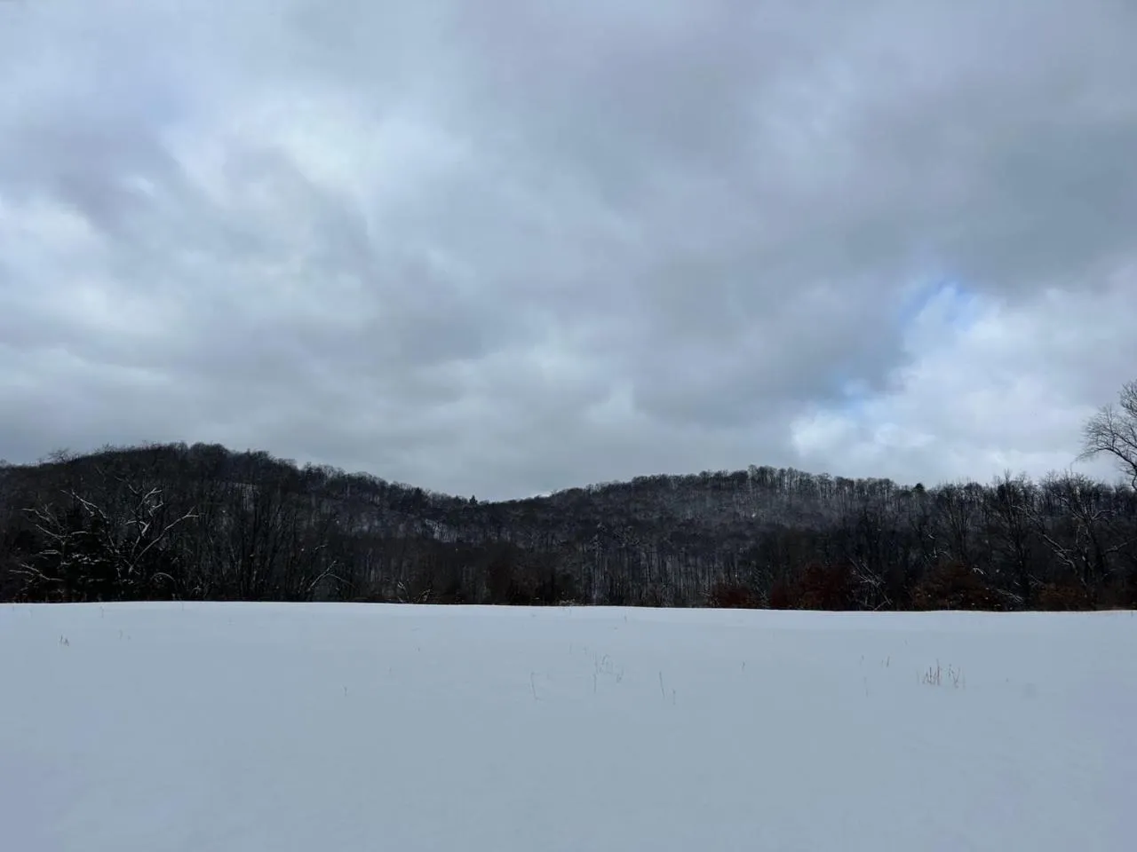 Natural landscape in Glenwood Inn - Stroudsburg