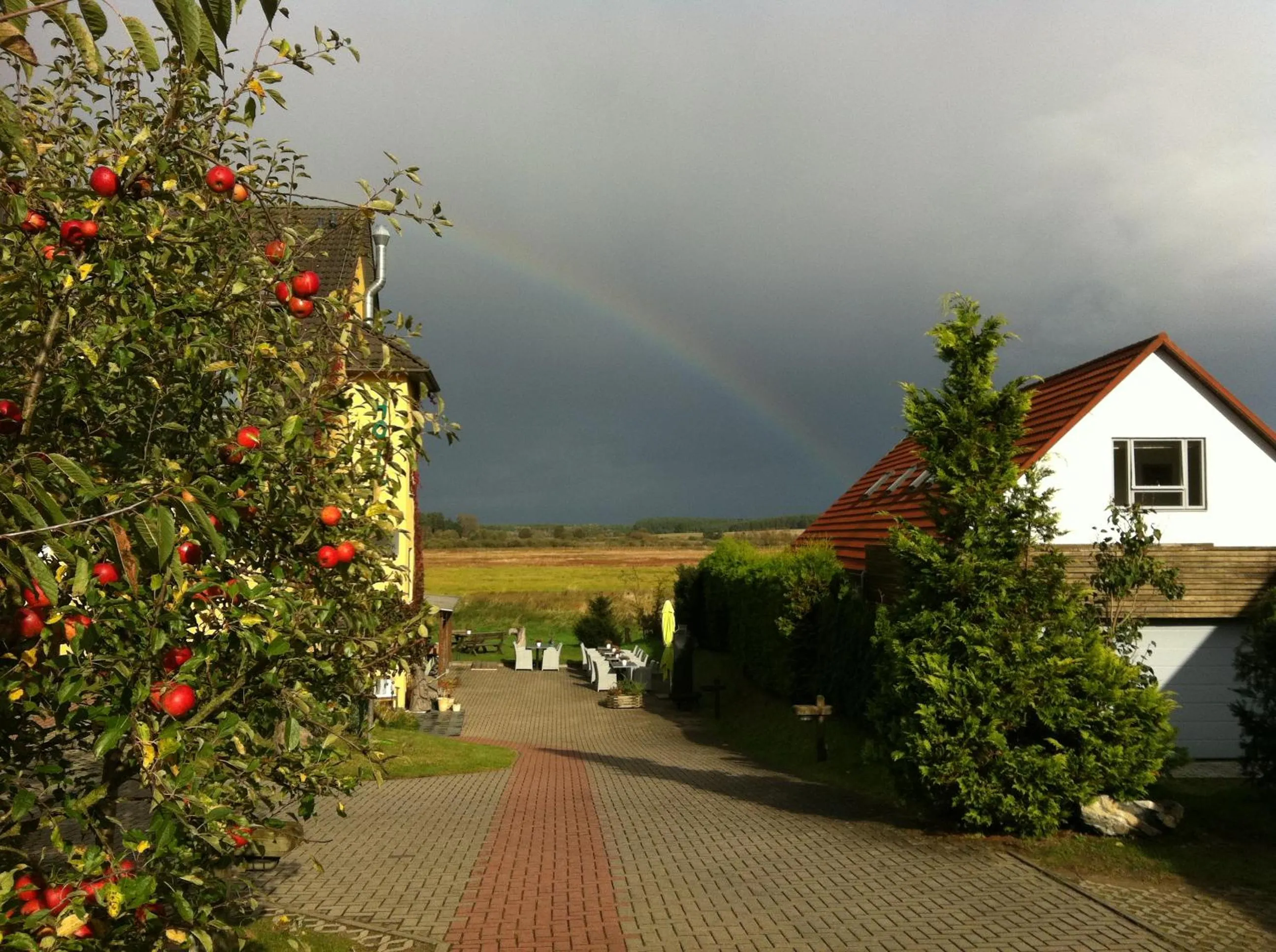 Garden view in Hotel am Müritz-Nationalpark