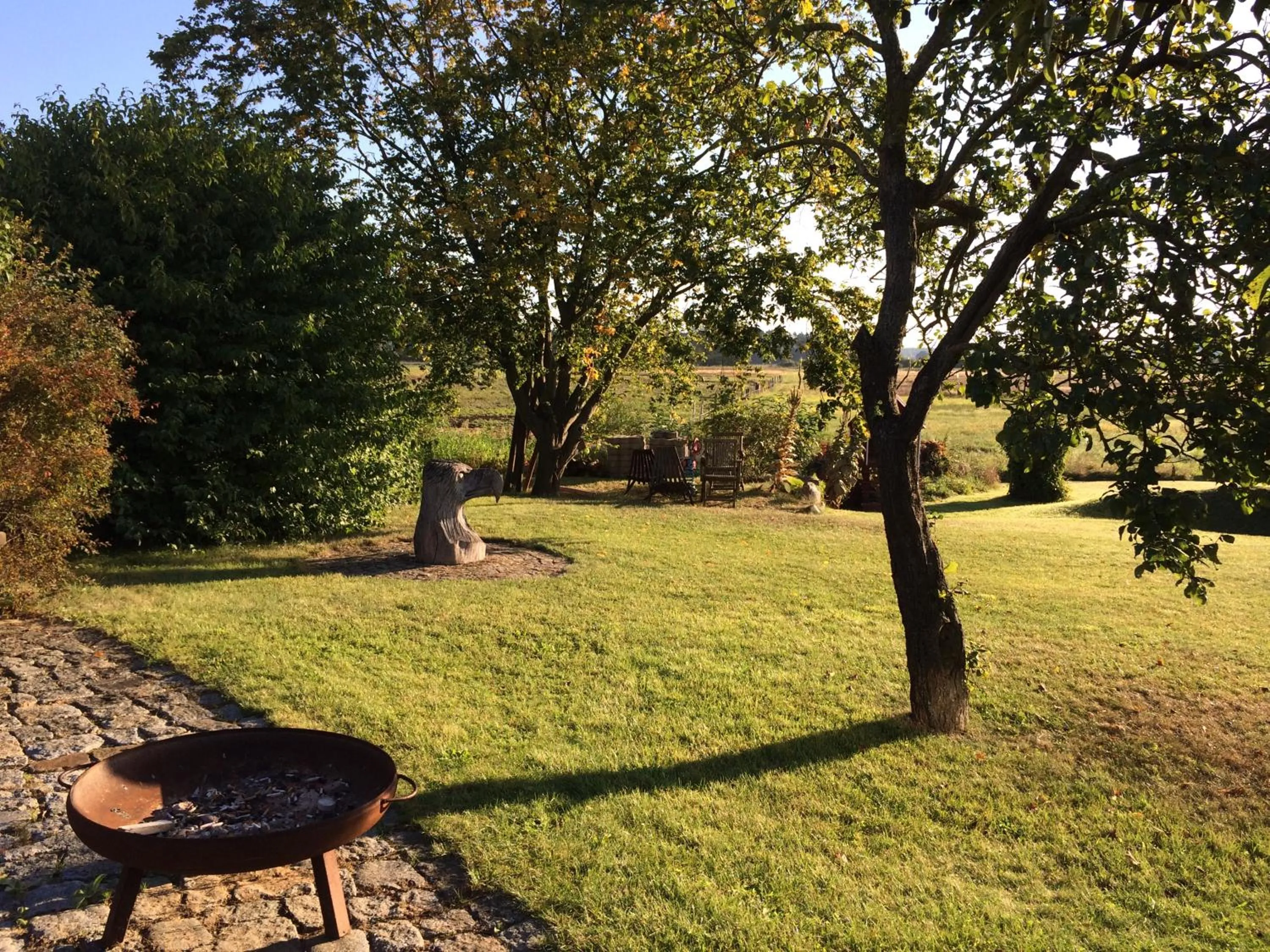 Garden in Hotel am Müritz-Nationalpark