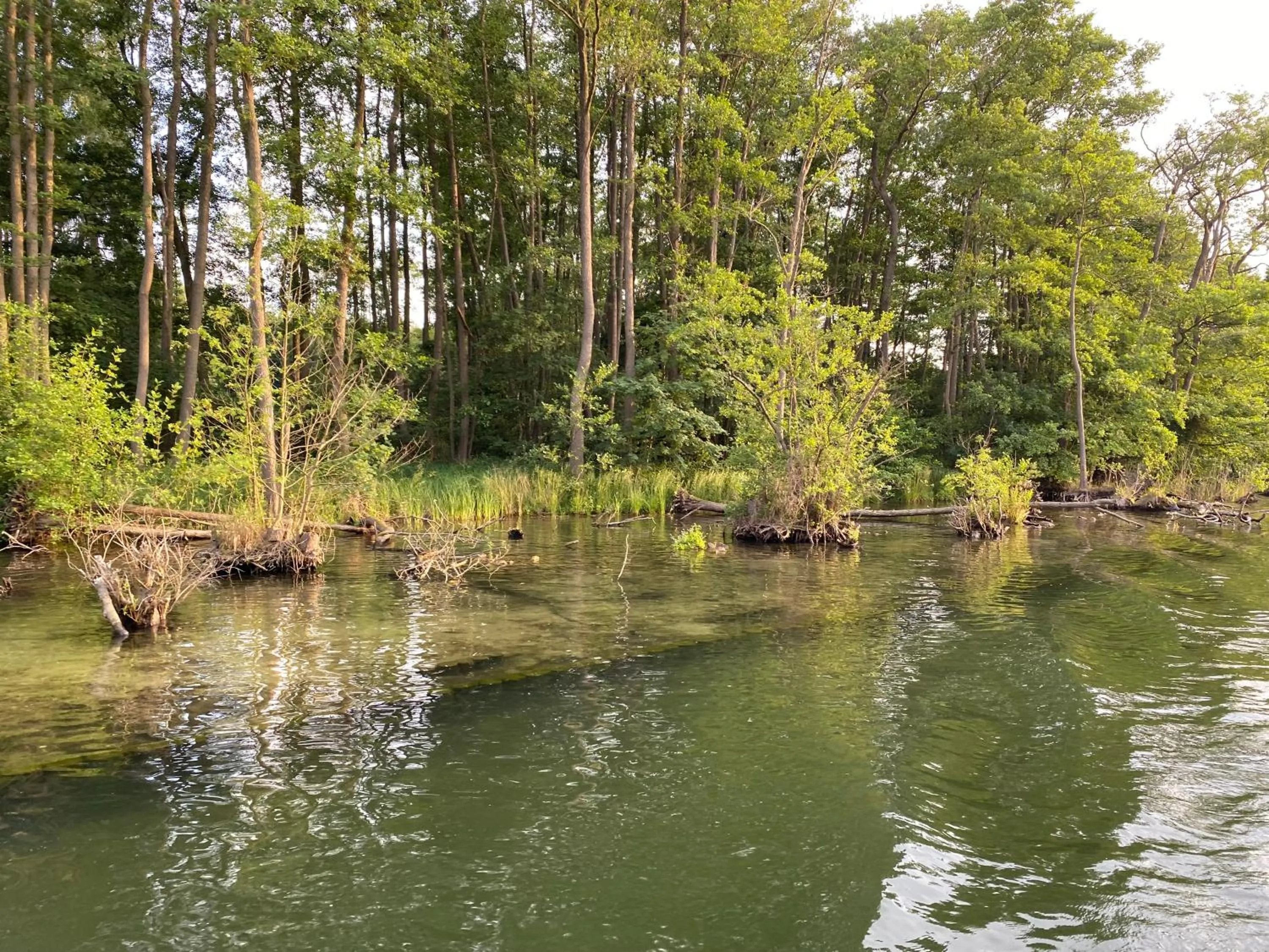 Property building in Hotel am Müritz-Nationalpark
