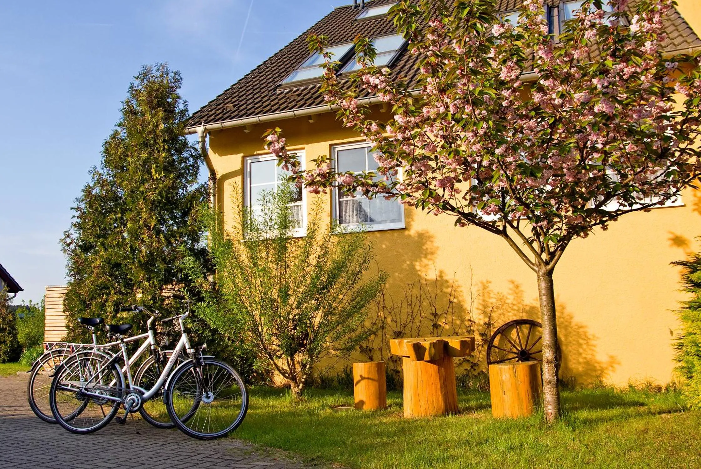 Cycling in Hotel am Müritz-Nationalpark