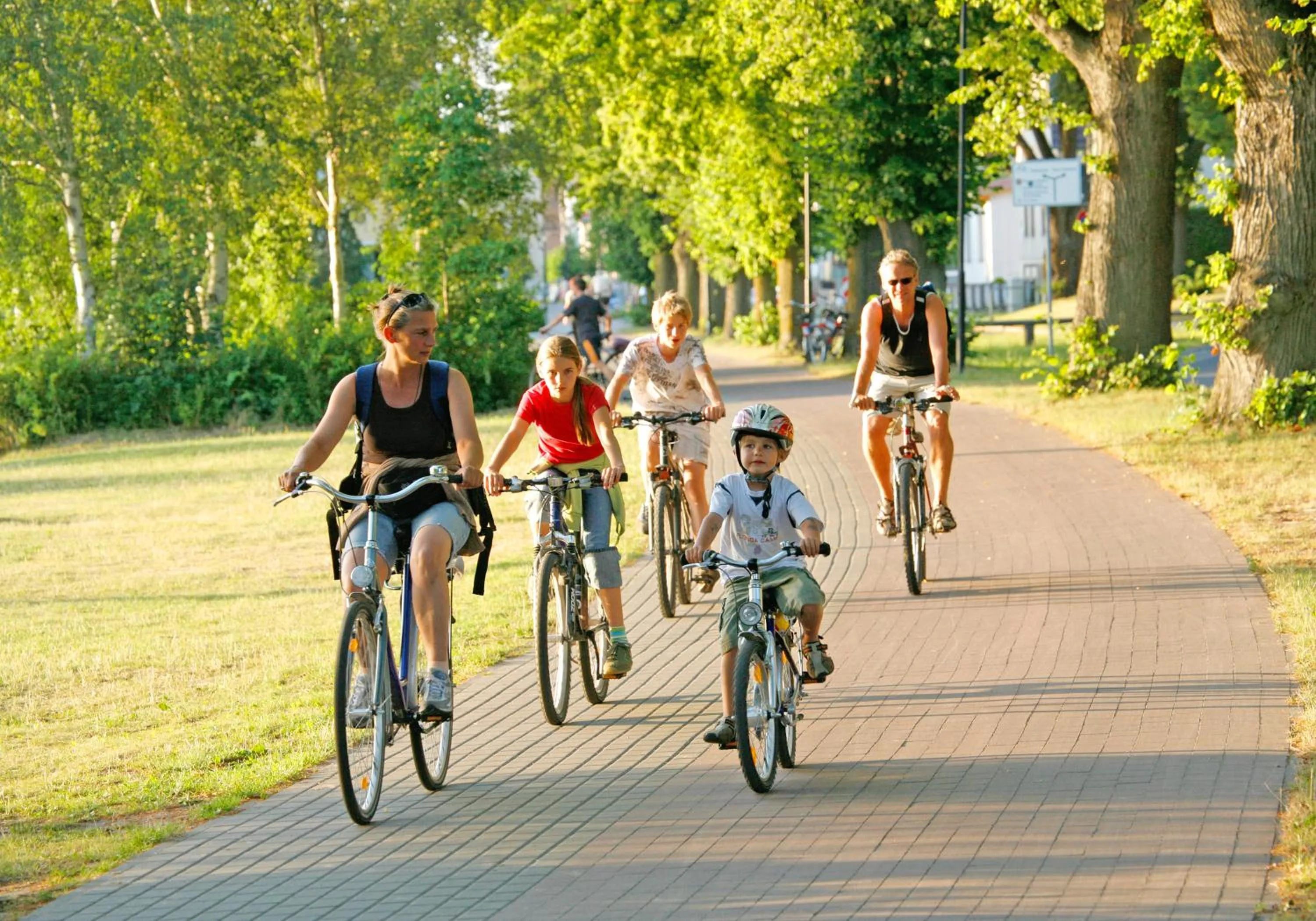 Cycling in Hotel am Müritz-Nationalpark
