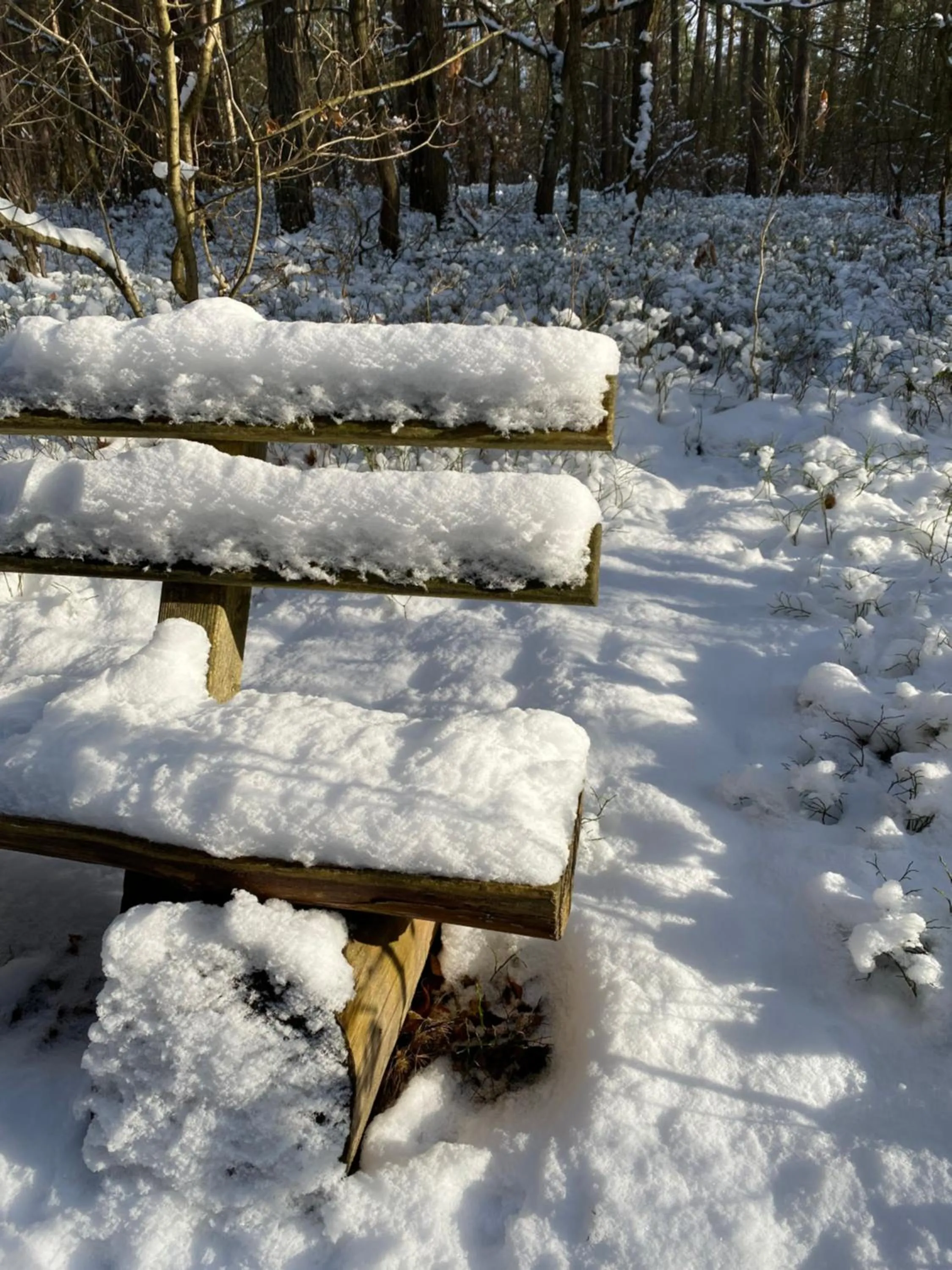 Winter in Hotel am Müritz-Nationalpark