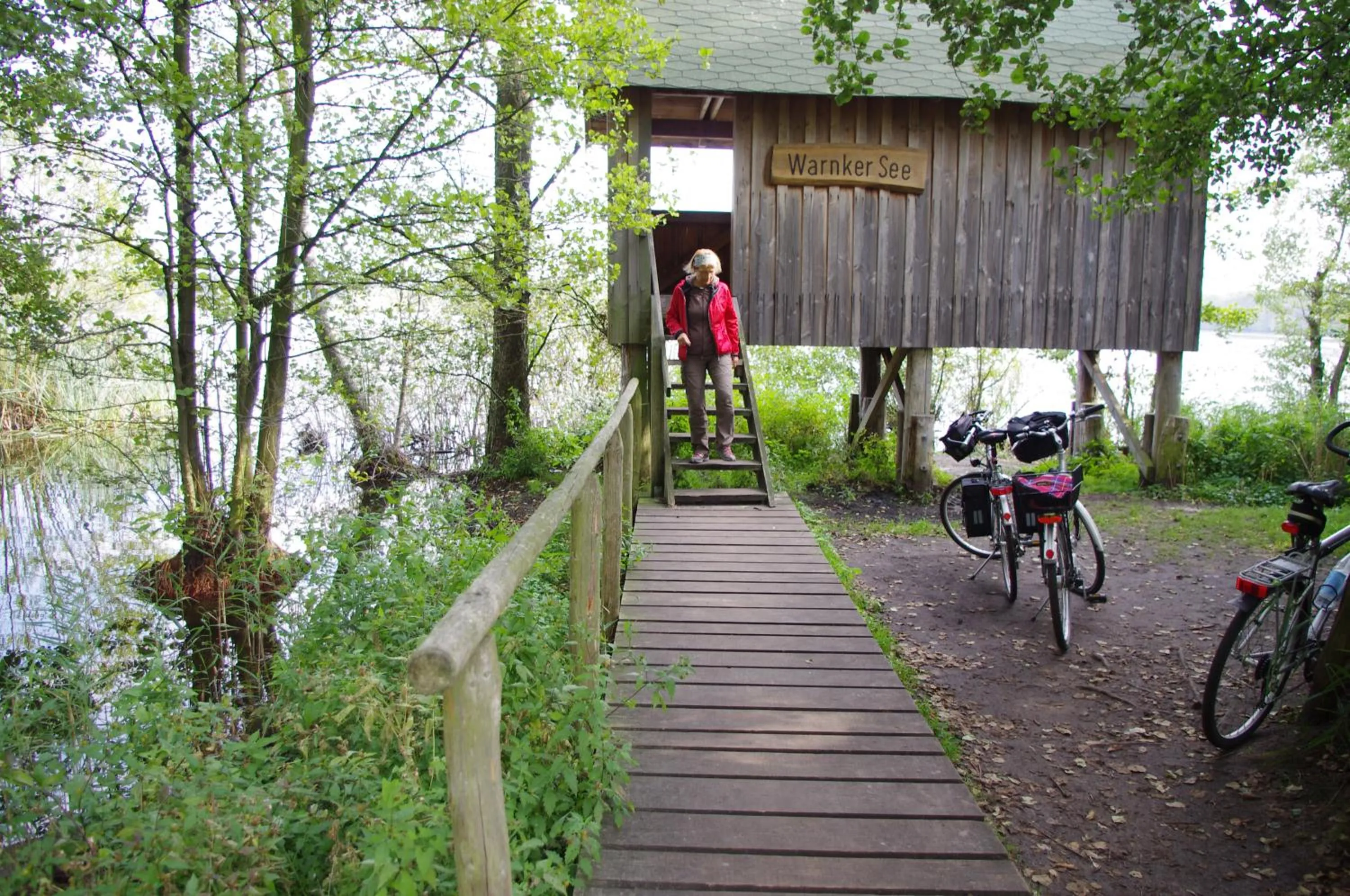 Cycling in Hotel am Müritz-Nationalpark