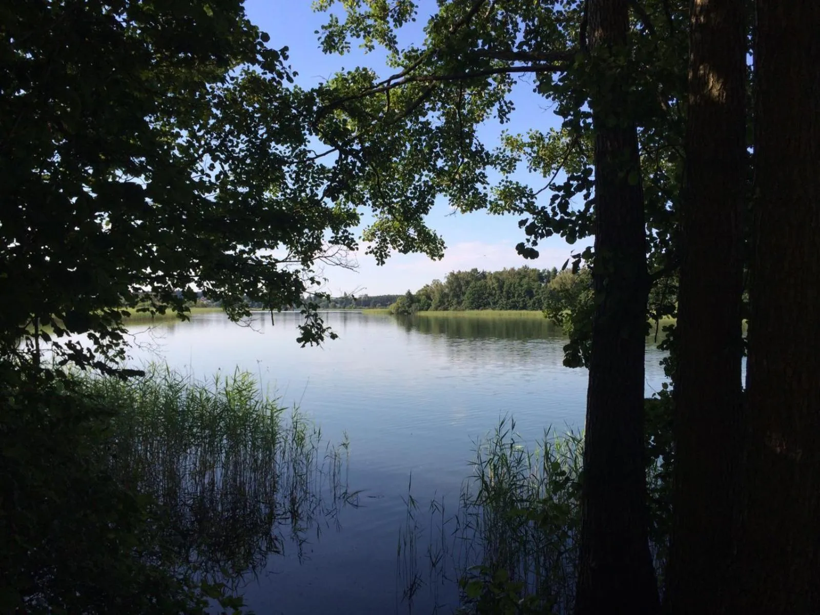 Natural landscape in Hotel am Müritz-Nationalpark