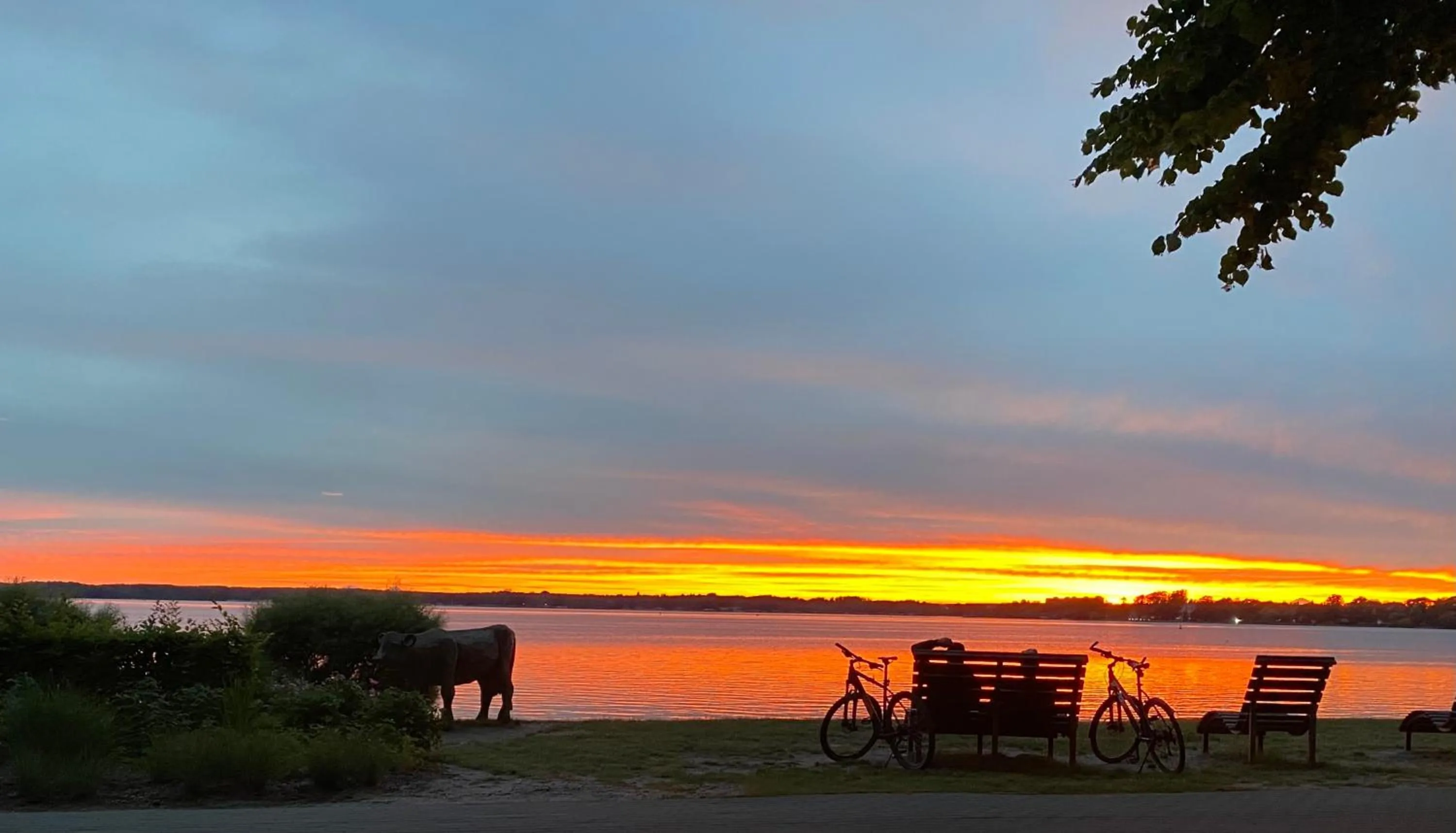 Hiking in Hotel am Müritz-Nationalpark