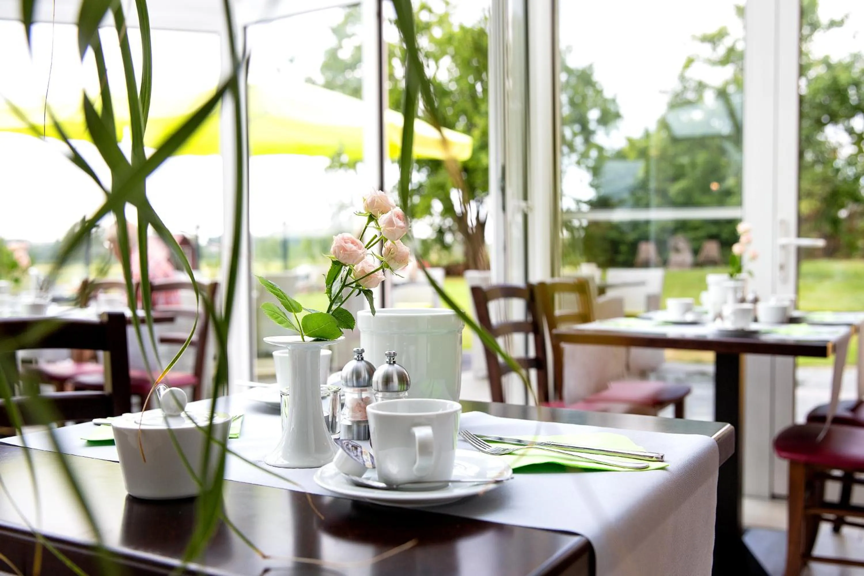 Restaurant/places to eat in Hotel am Müritz-Nationalpark