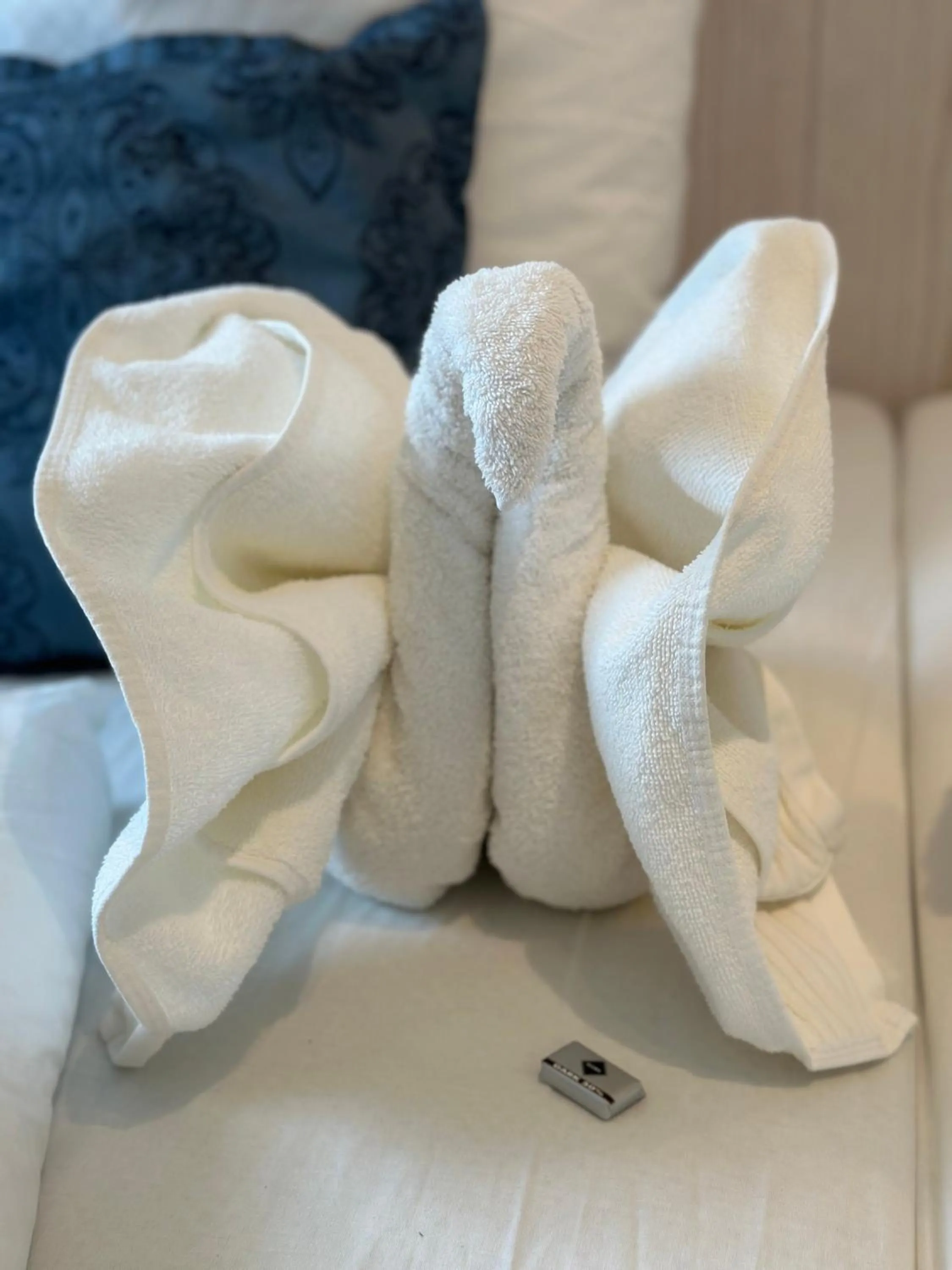 towels, Bed in Hotel Sonne