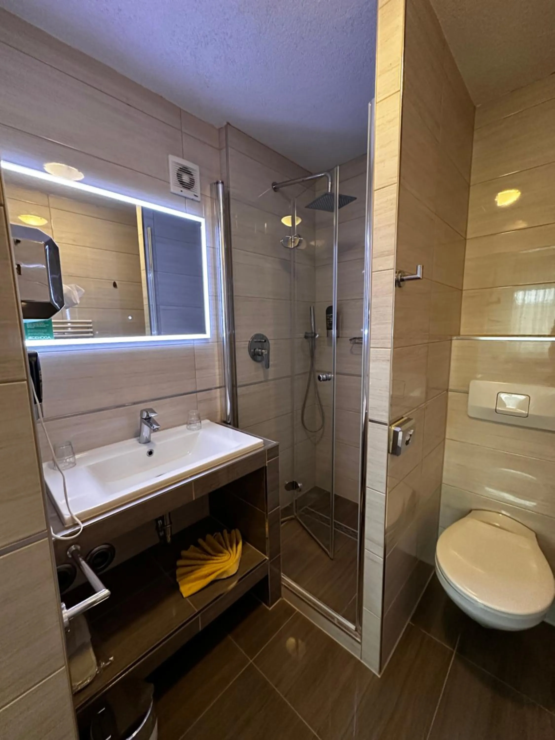 Shower in Hotel Sonne