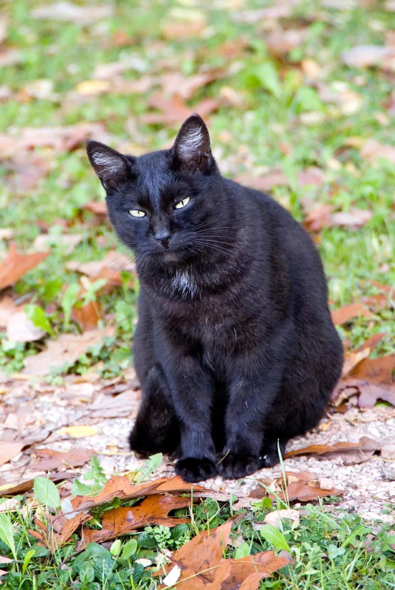 B&B La Casa in Collina