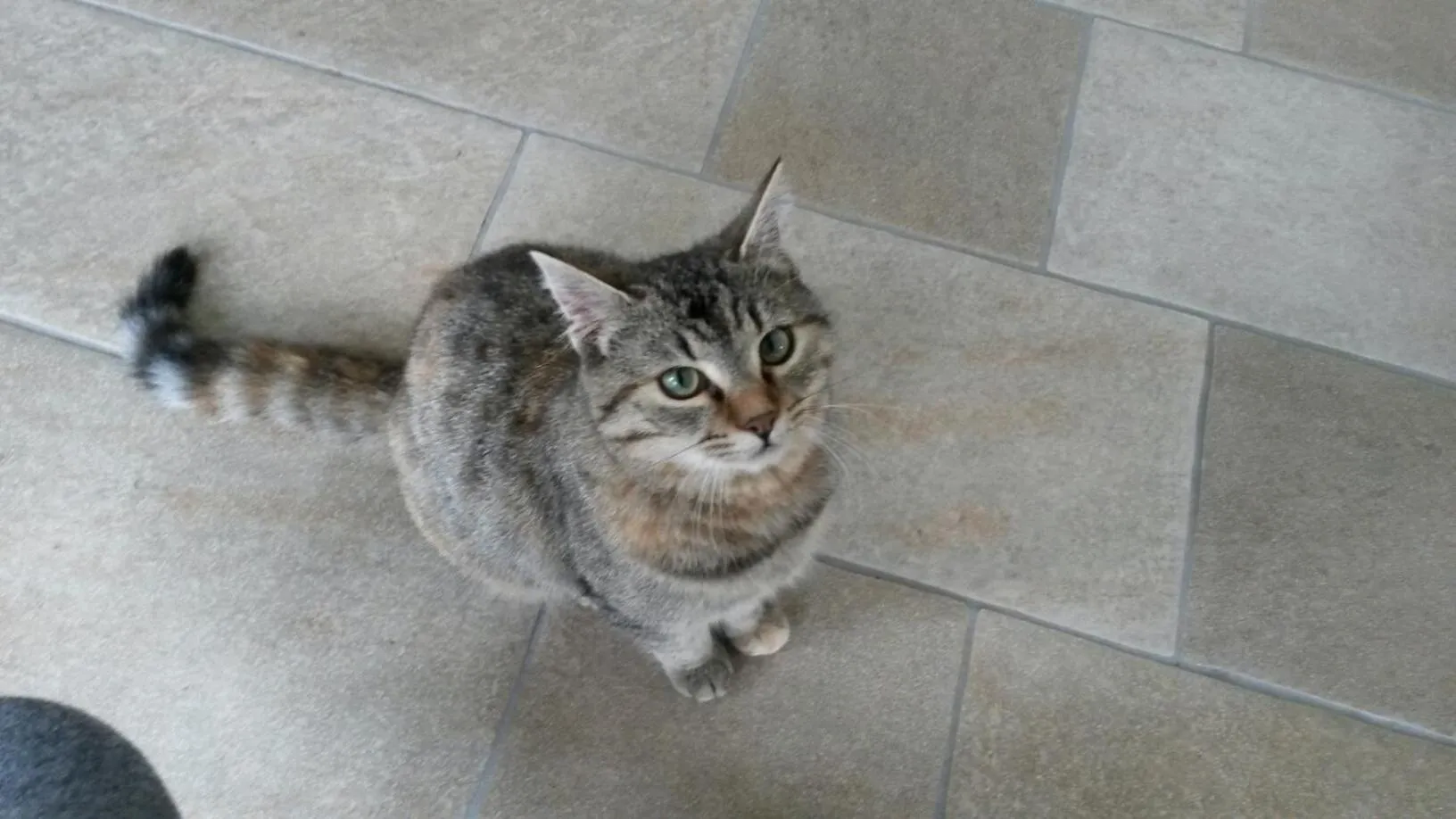 B&B La Casa in Collina