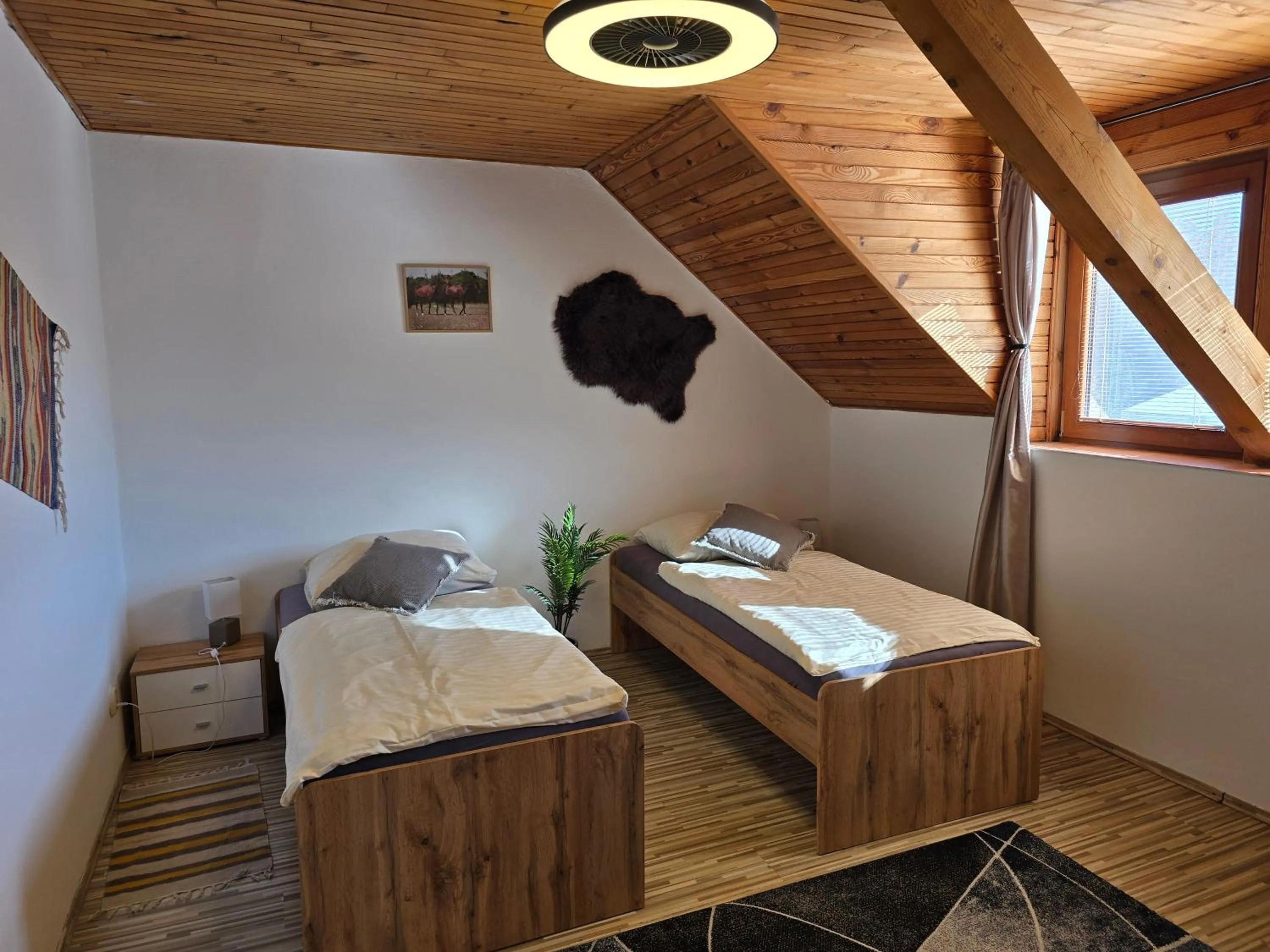 Standard Twin Room in Penzión Pegas
