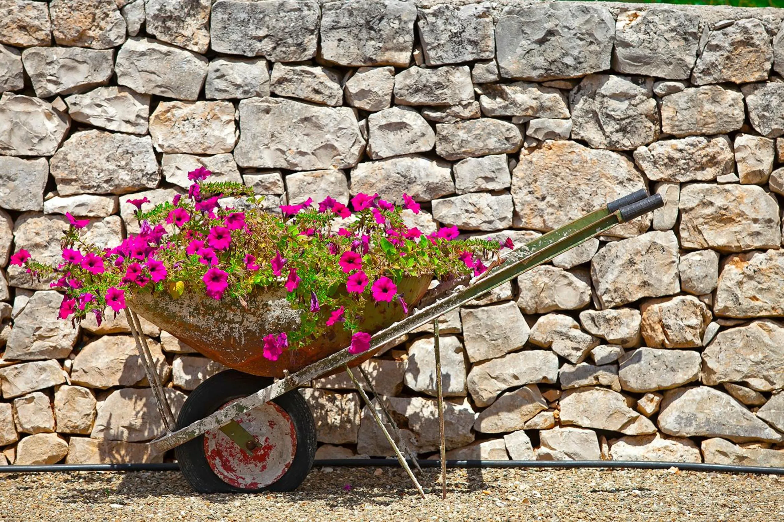Decorative detail in Coppola di Seta