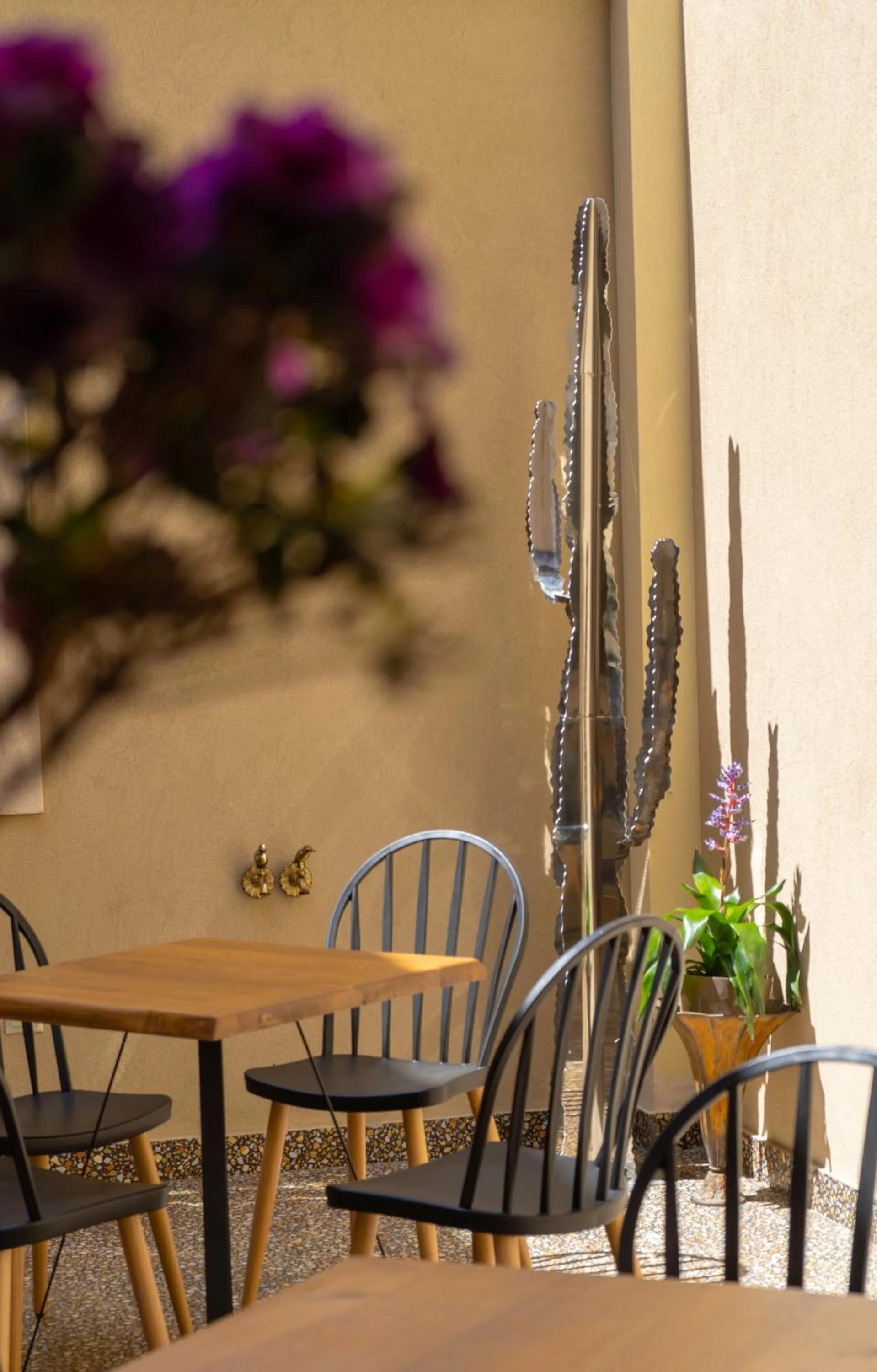 Patio in Álbero Hotel