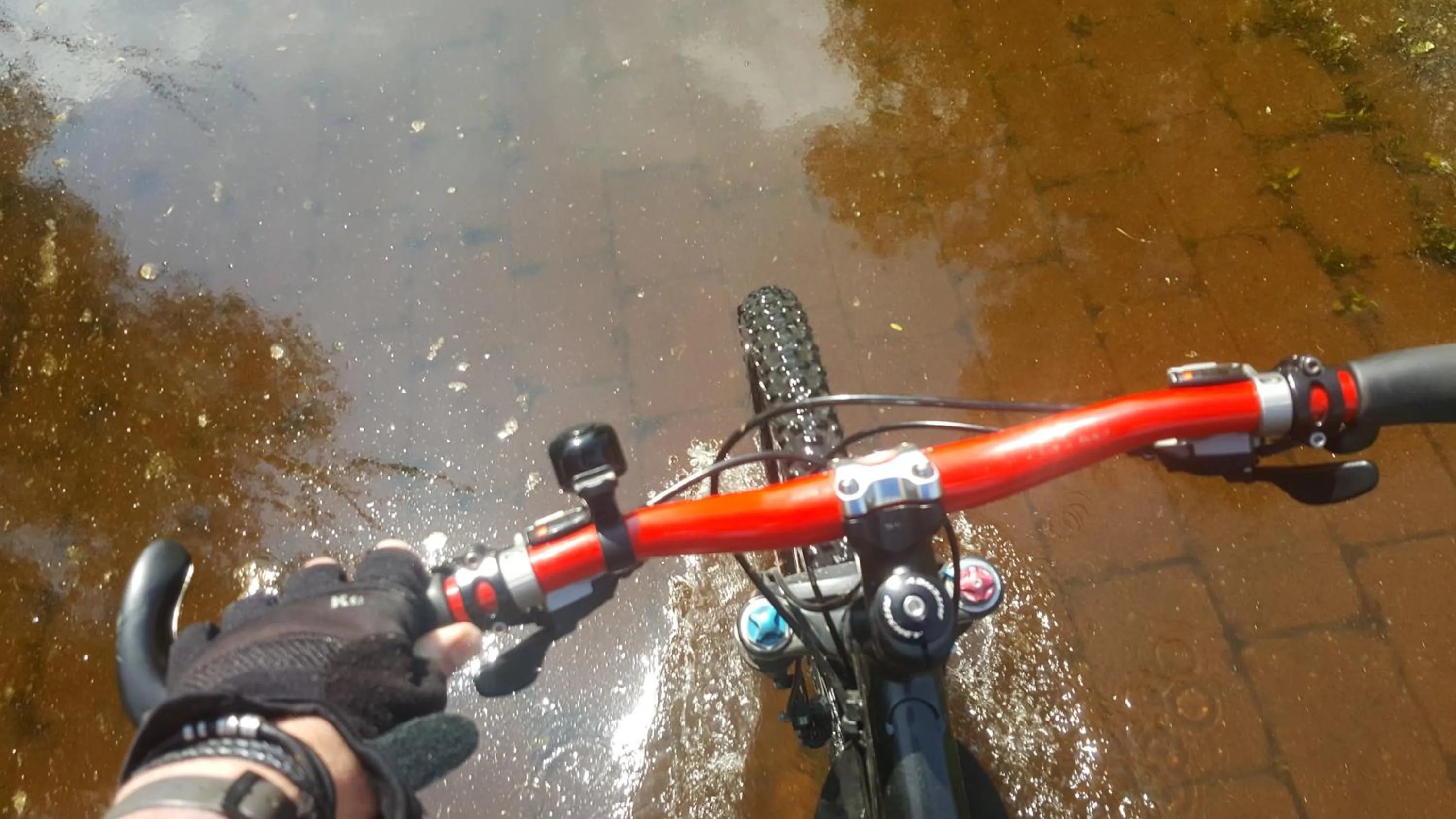 Cycling in RUTHMANN-Rheinblick GARNI