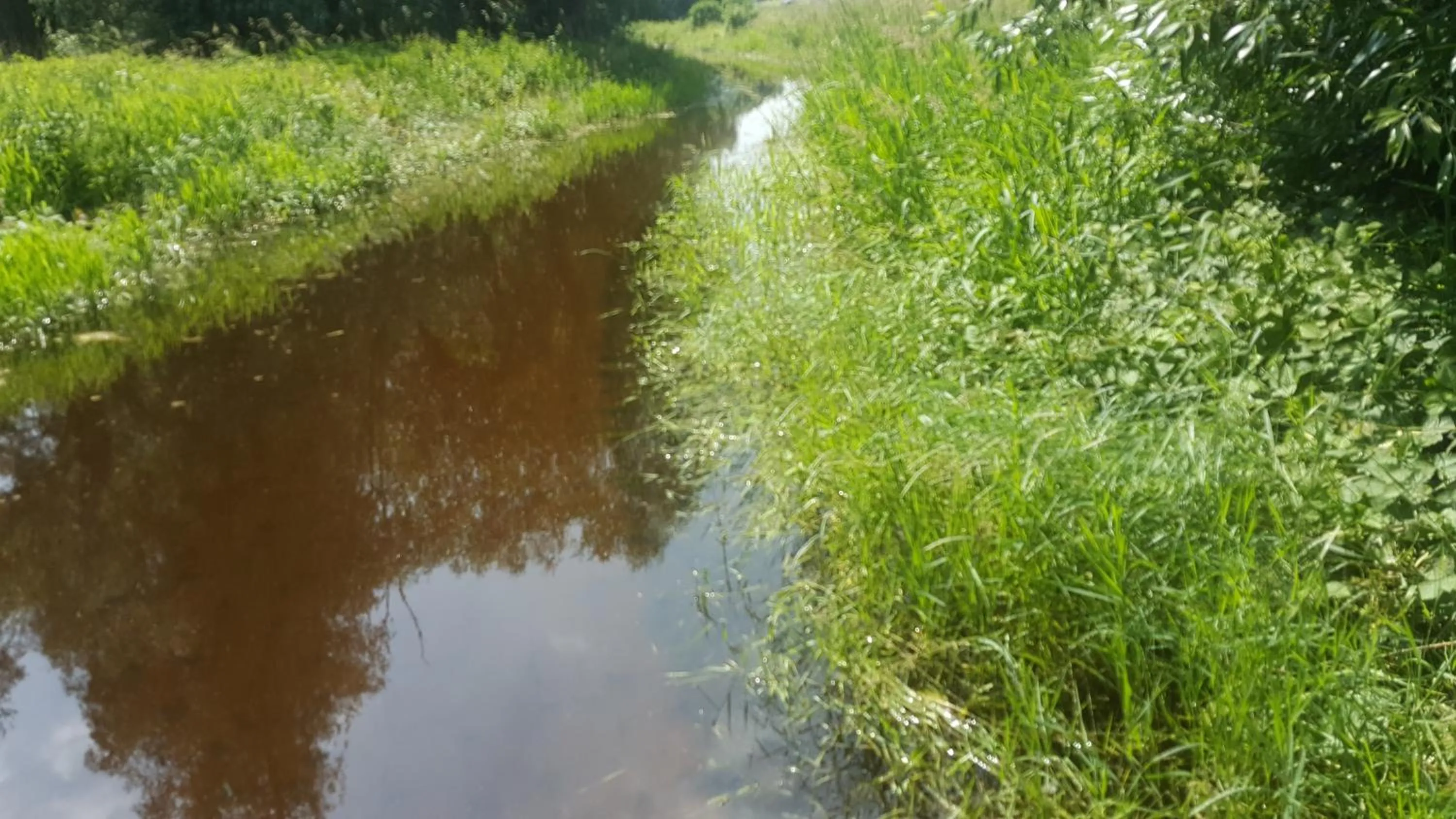 Cycling in RUTHMANN-Rheinblick GARNI
