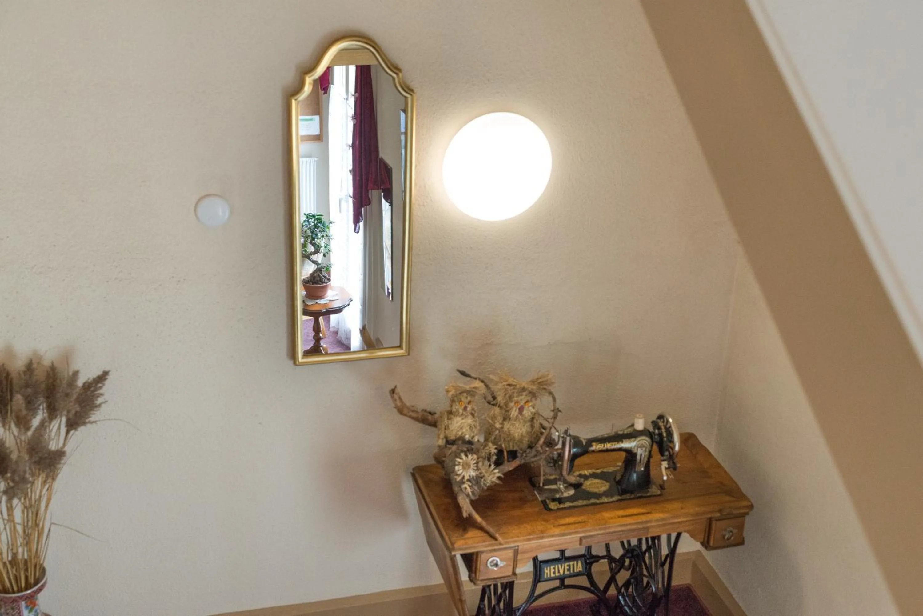 Area and facilities in Hotel Bel-Air Eden