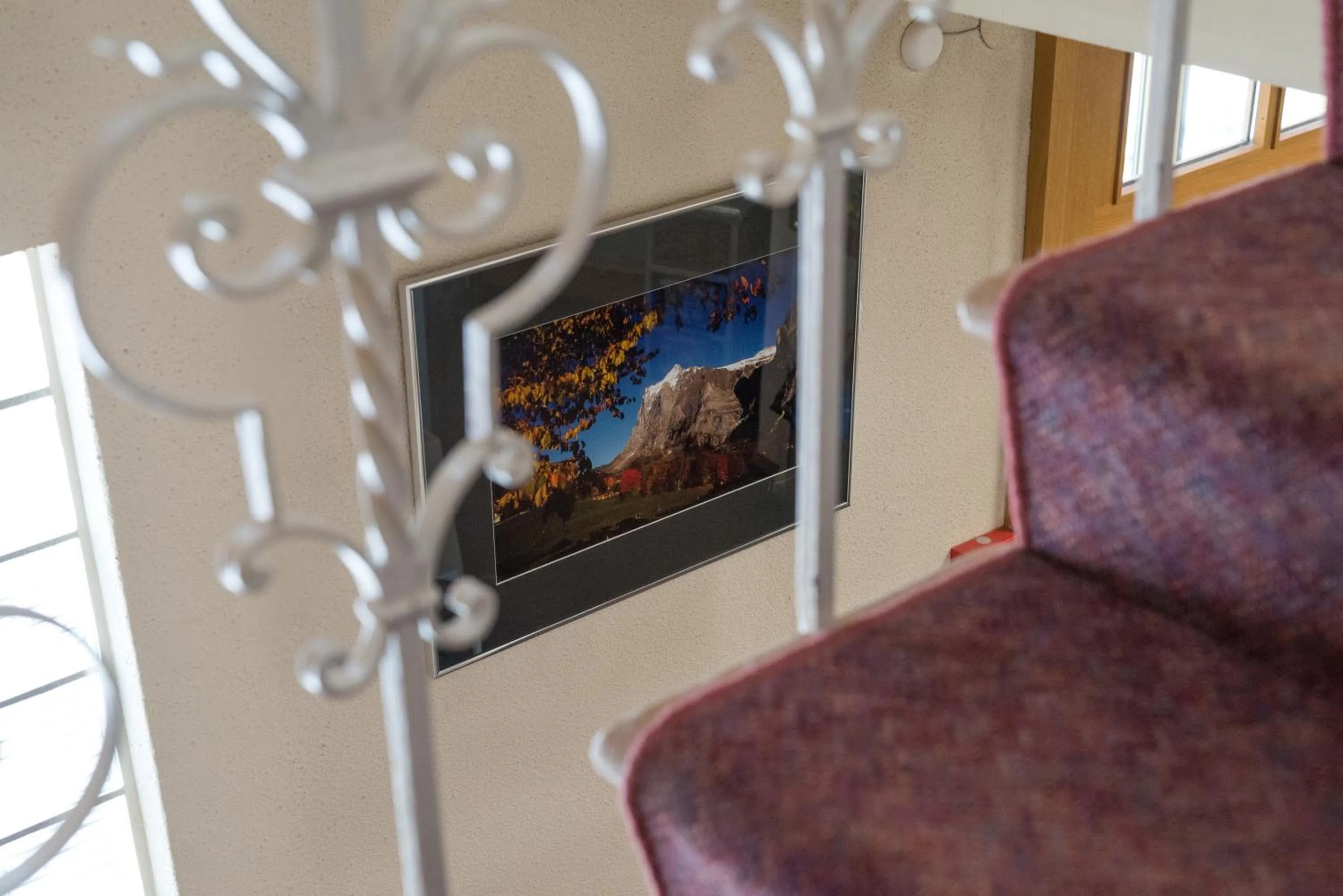 Area and facilities in Hotel Bel-Air Eden