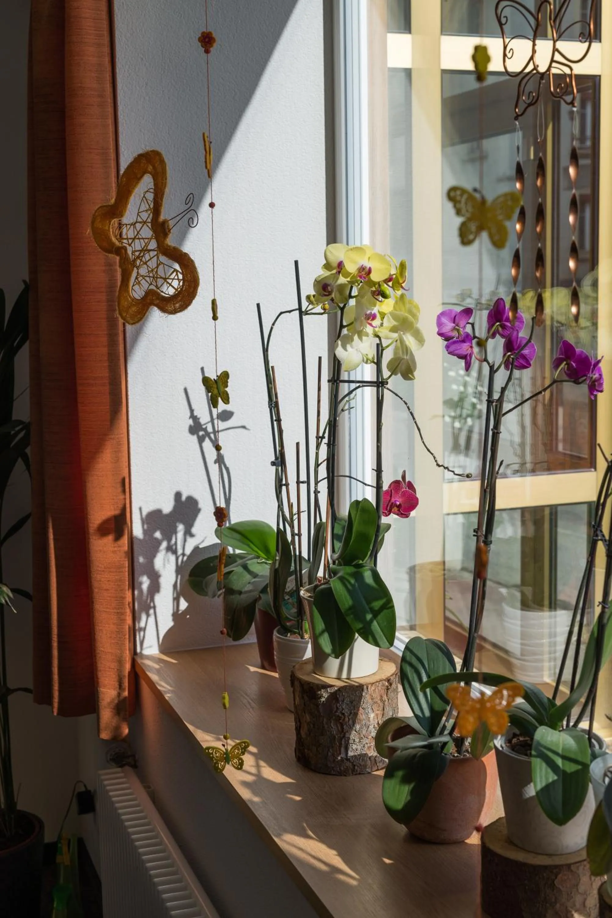 Lobby or reception in Hotel Bel-Air Eden