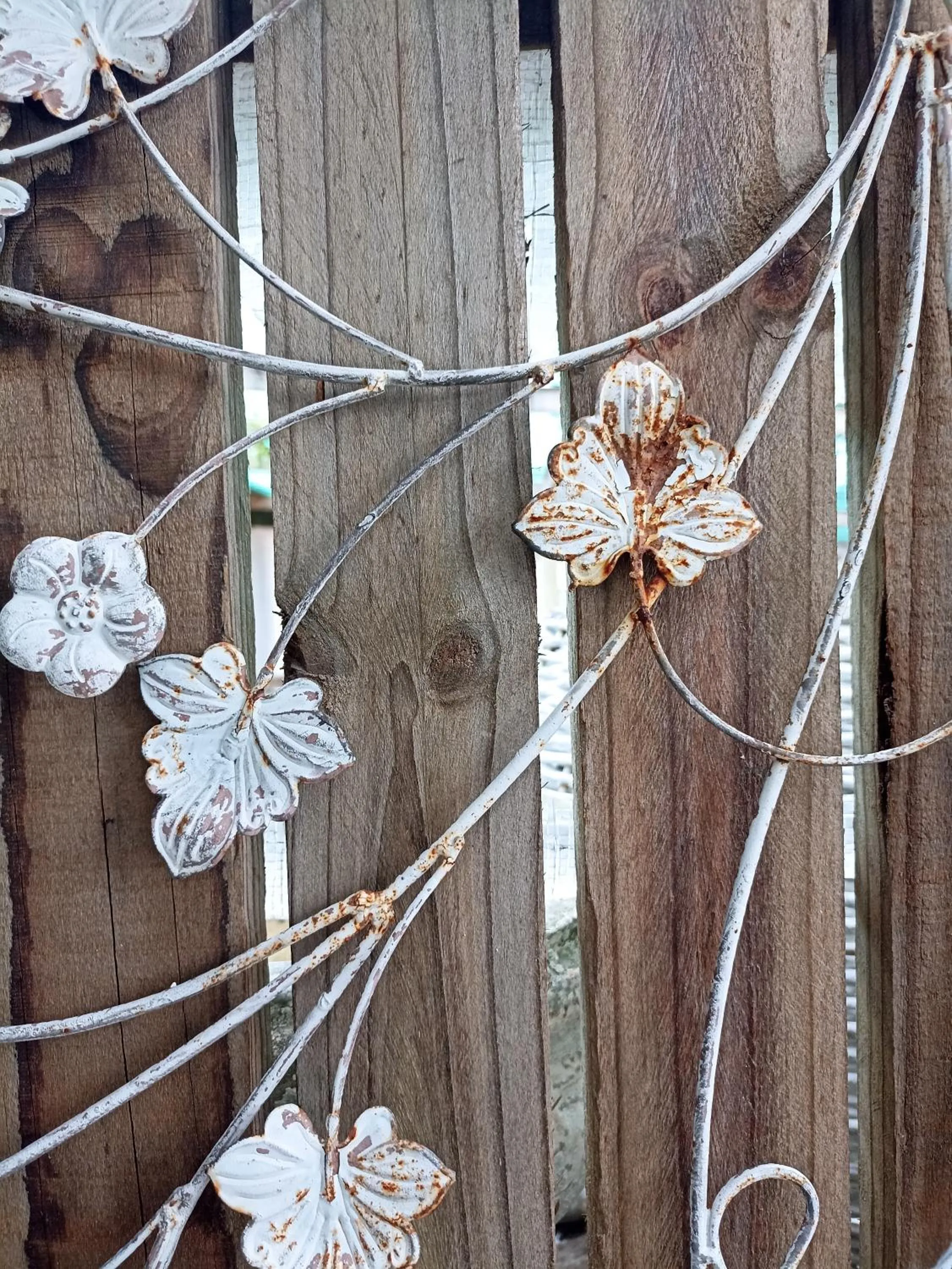 Garden in The Retreat