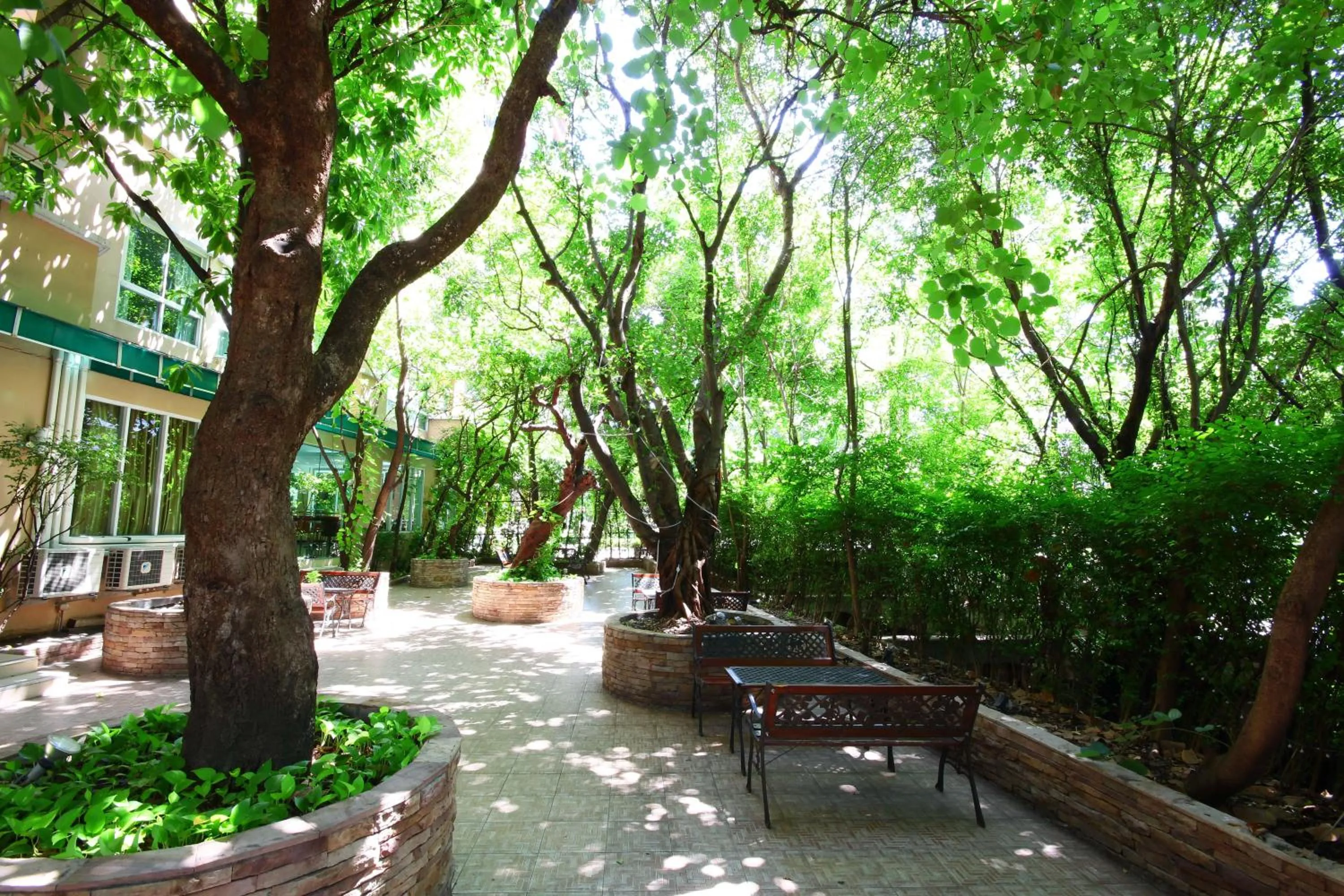 Patio in Calypzo Bangkok