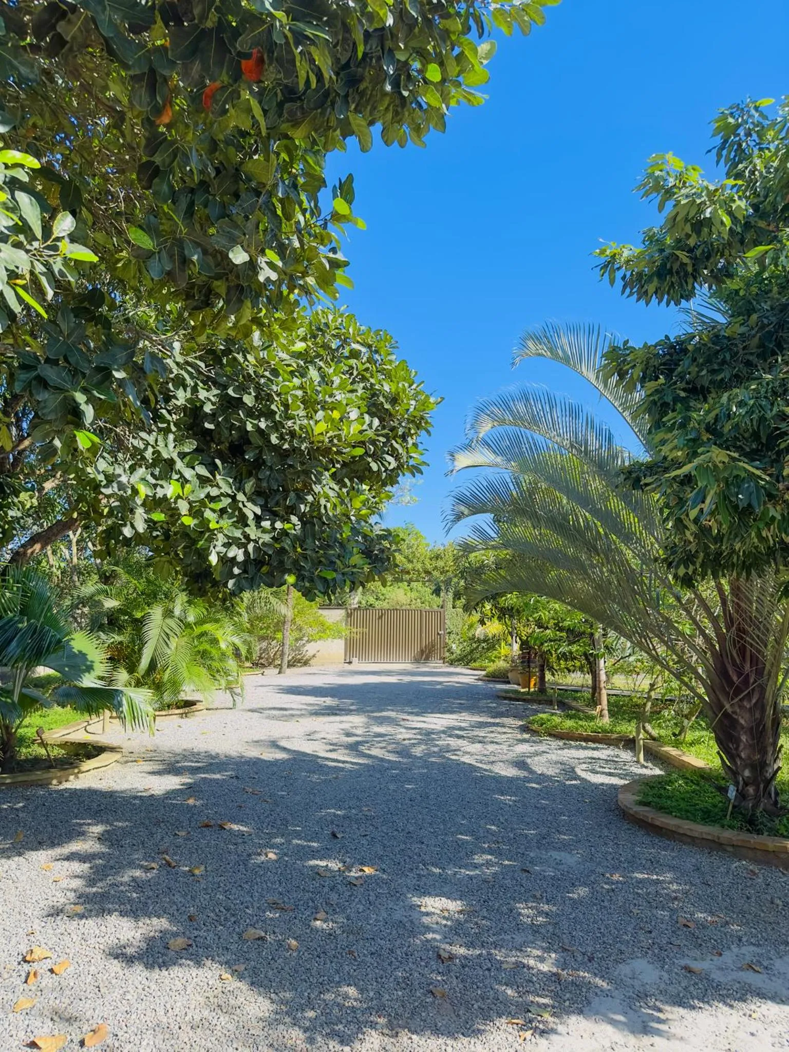 Garden in Rancho Litoral Búzios