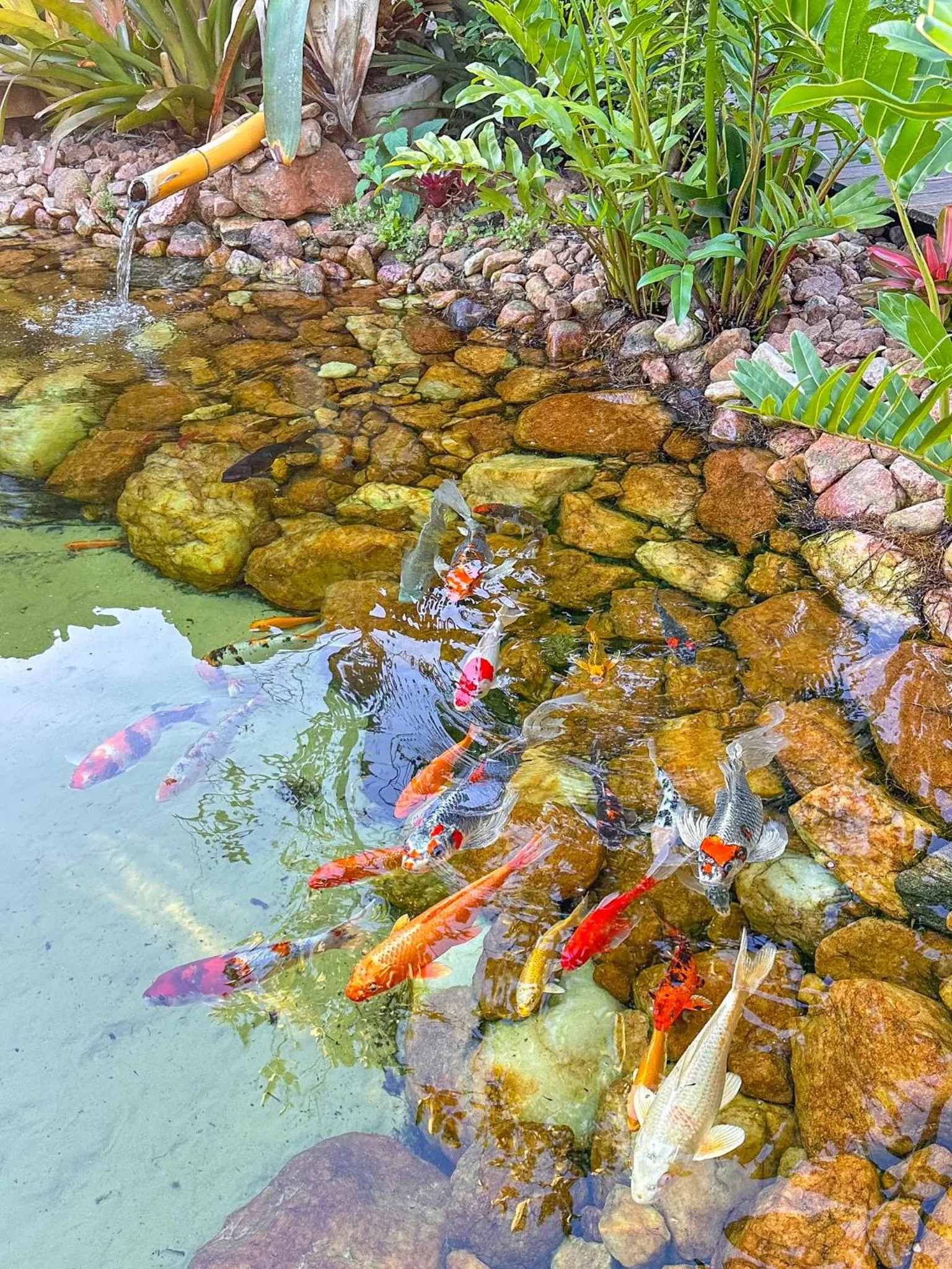 Garden in Rancho Litoral Búzios
