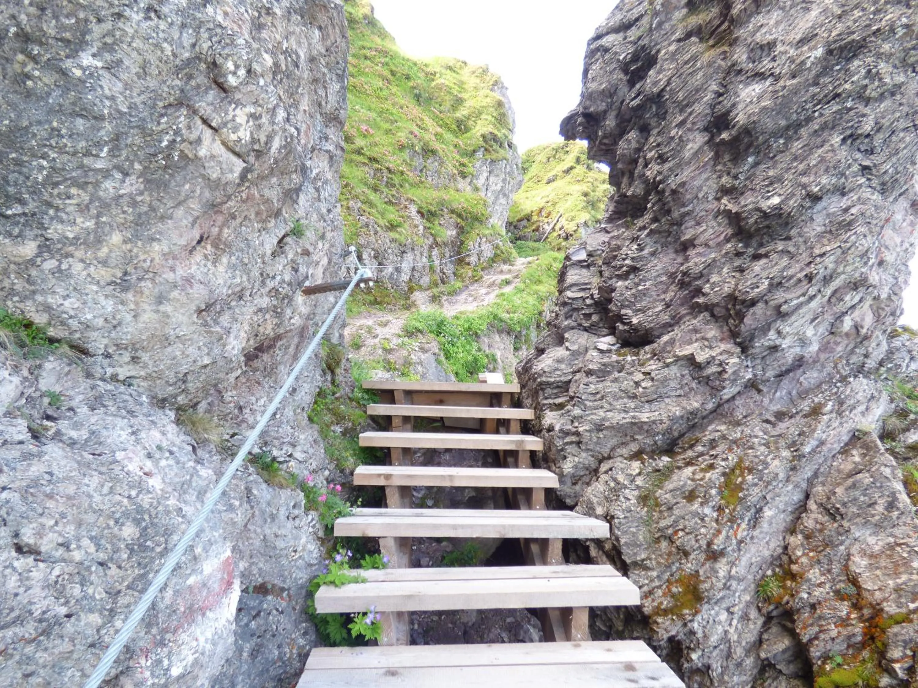 Hiking in Panoramahotel