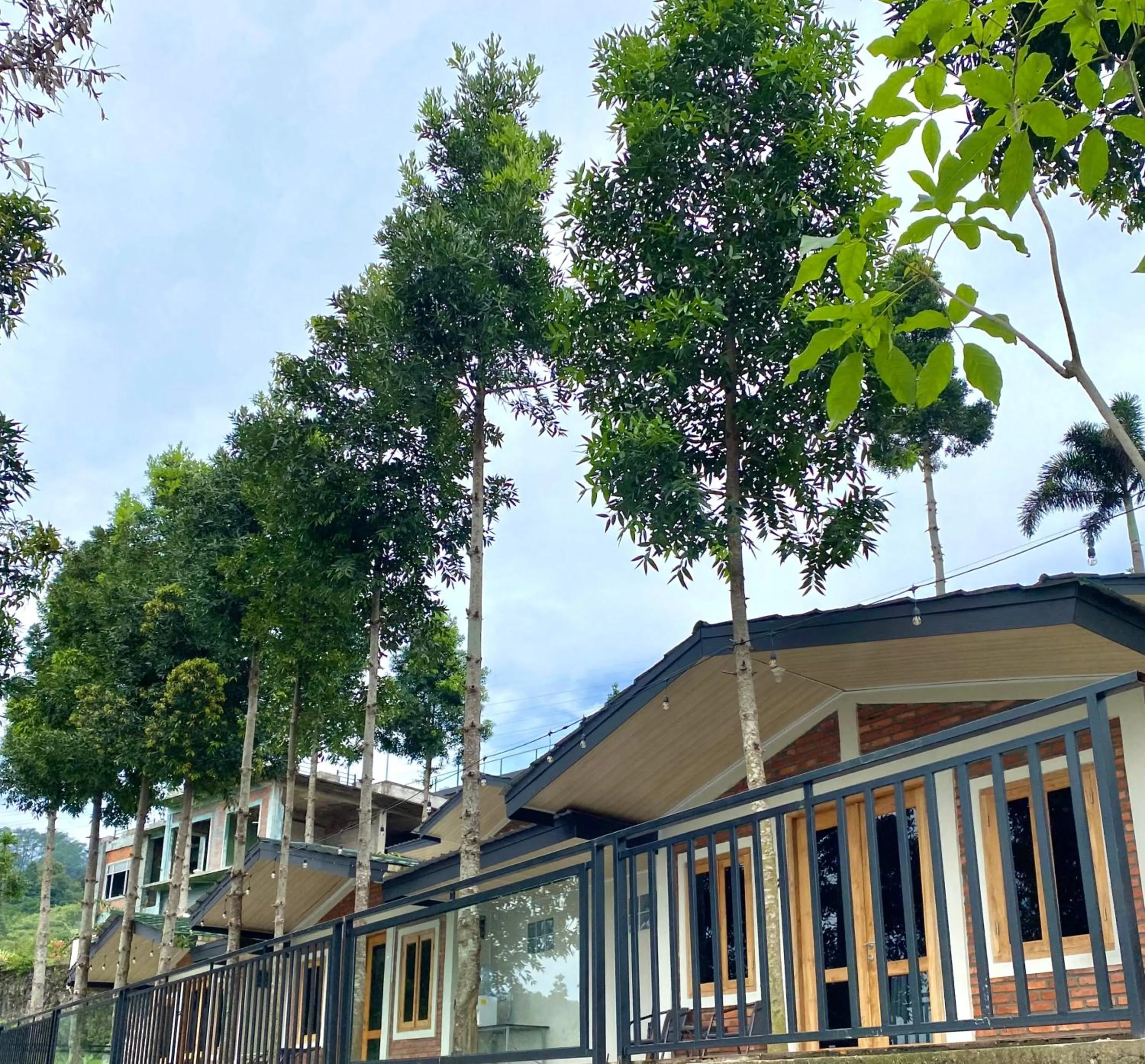 Property building in Alinson Sunset Hill