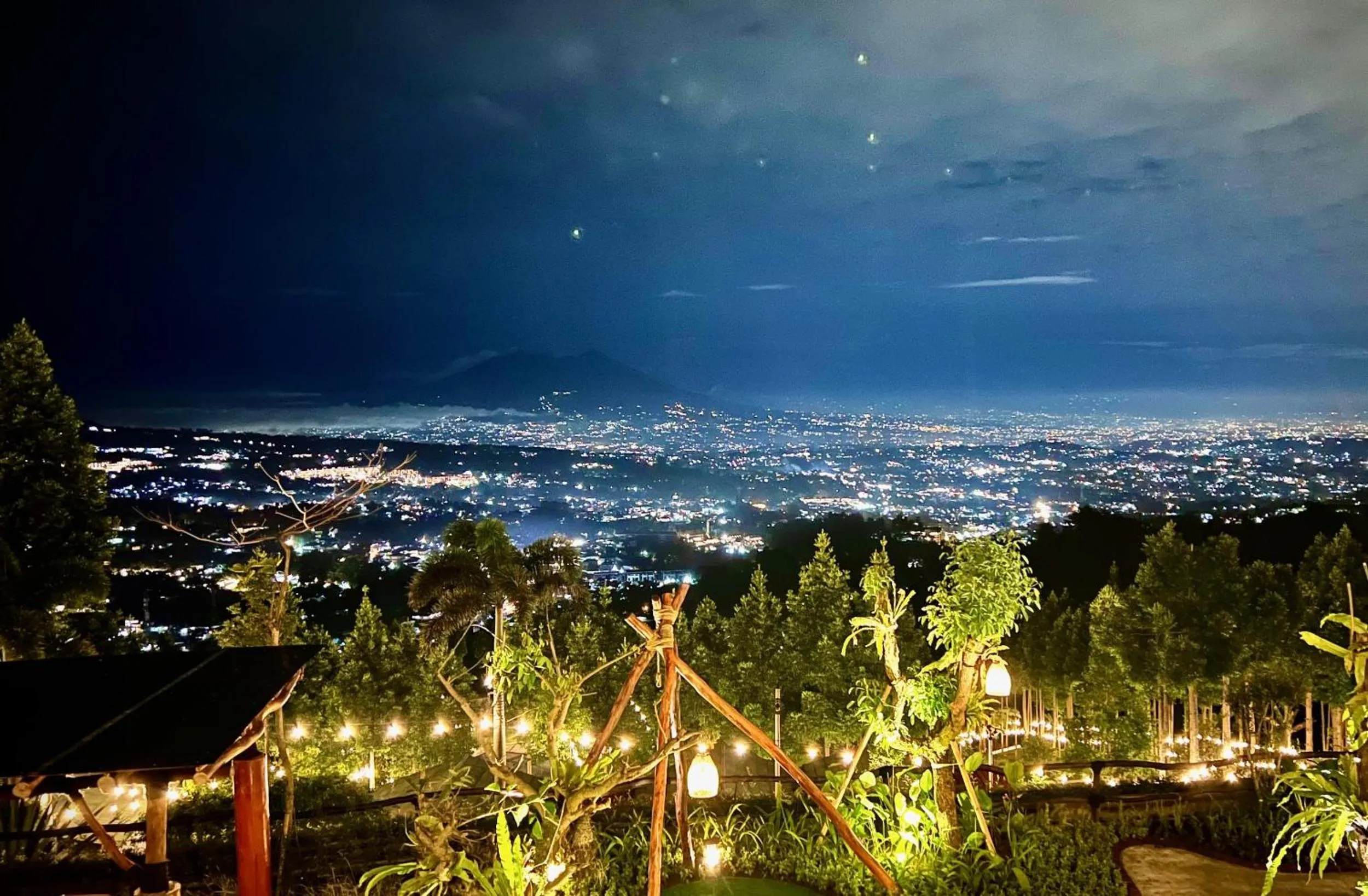 Garden in Alinson Sunset Hill