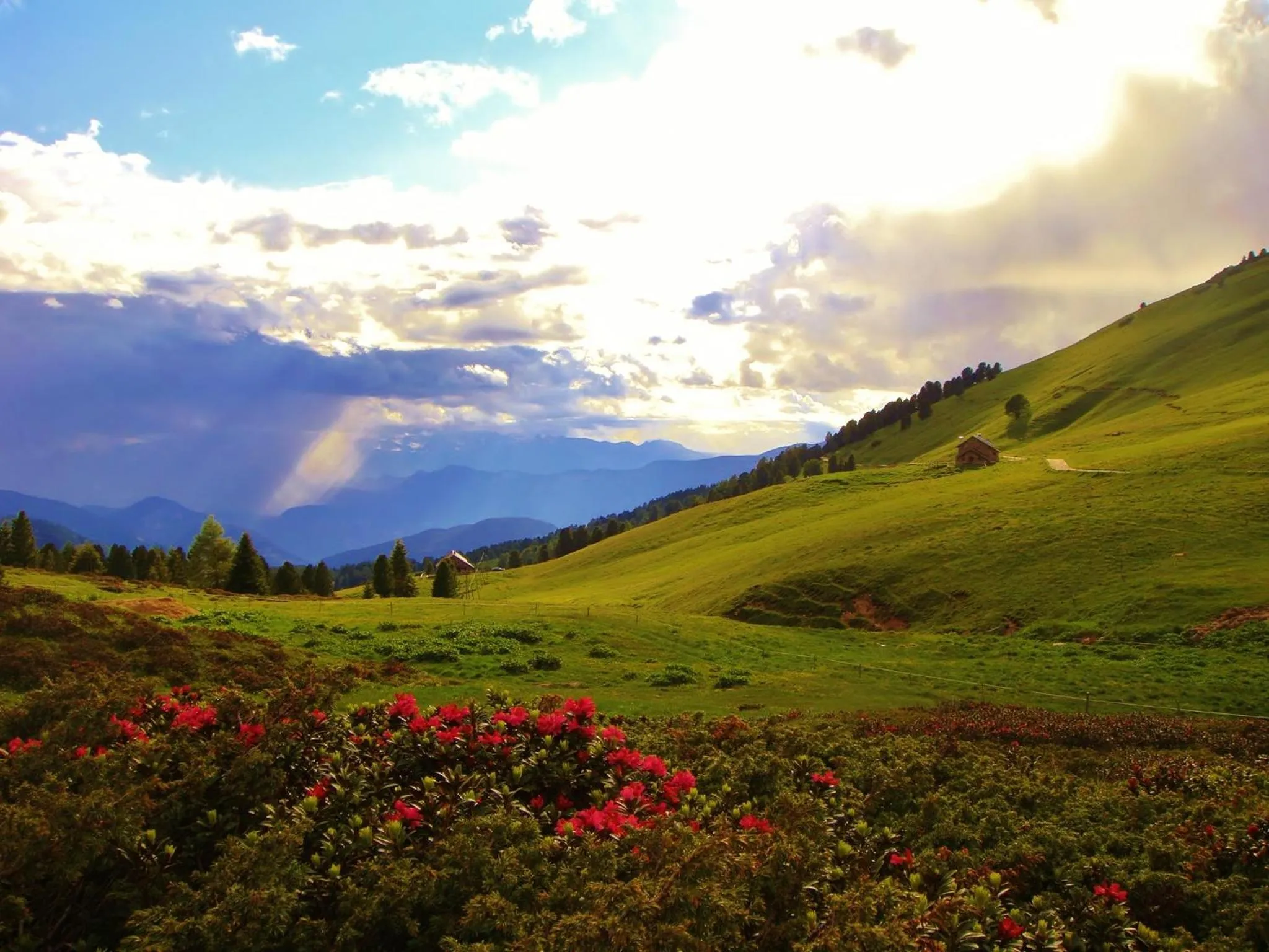 On site in Berghotel Jochgrimm - Your Dolomites Home