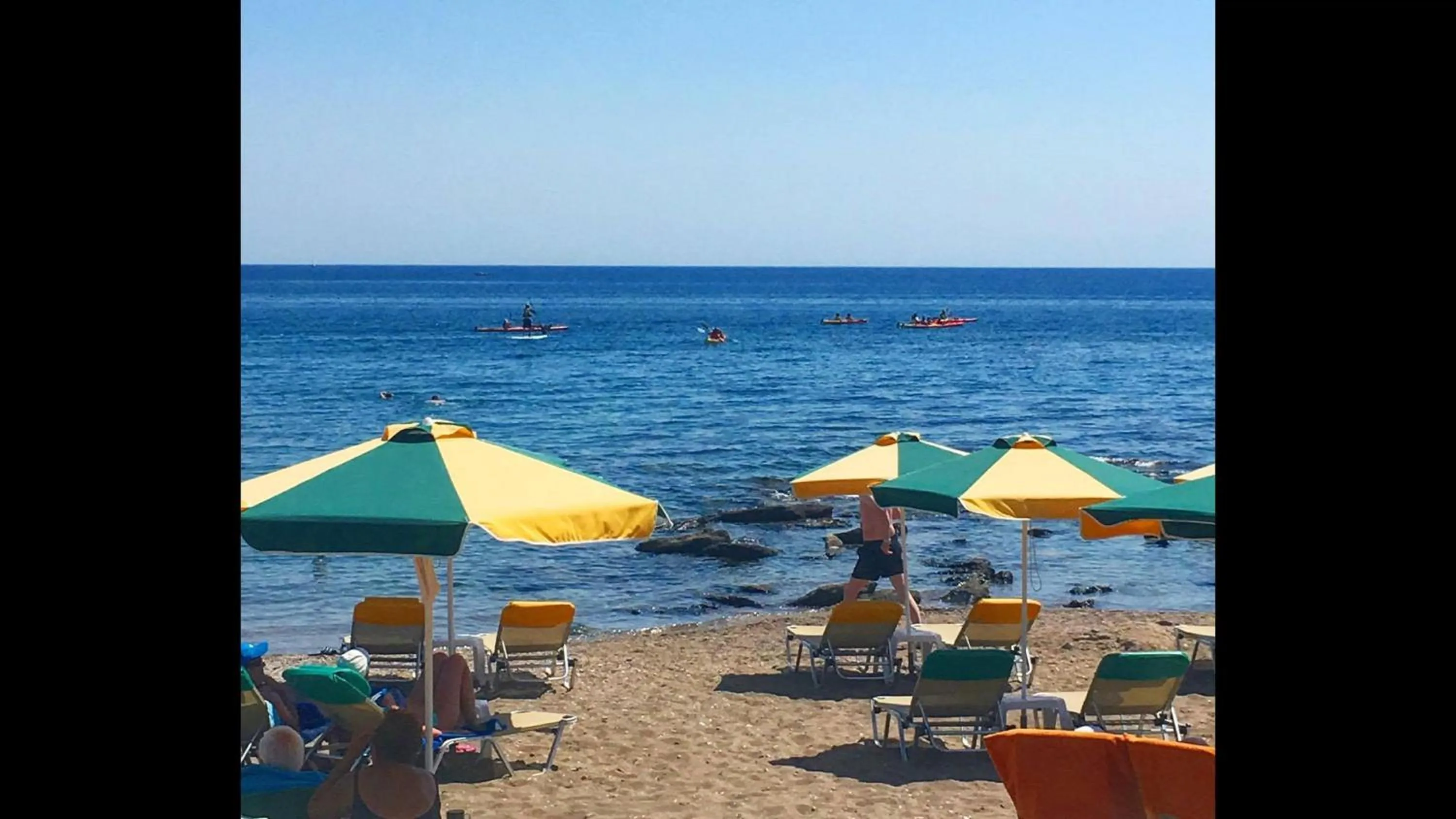 Day in Paradise Studios