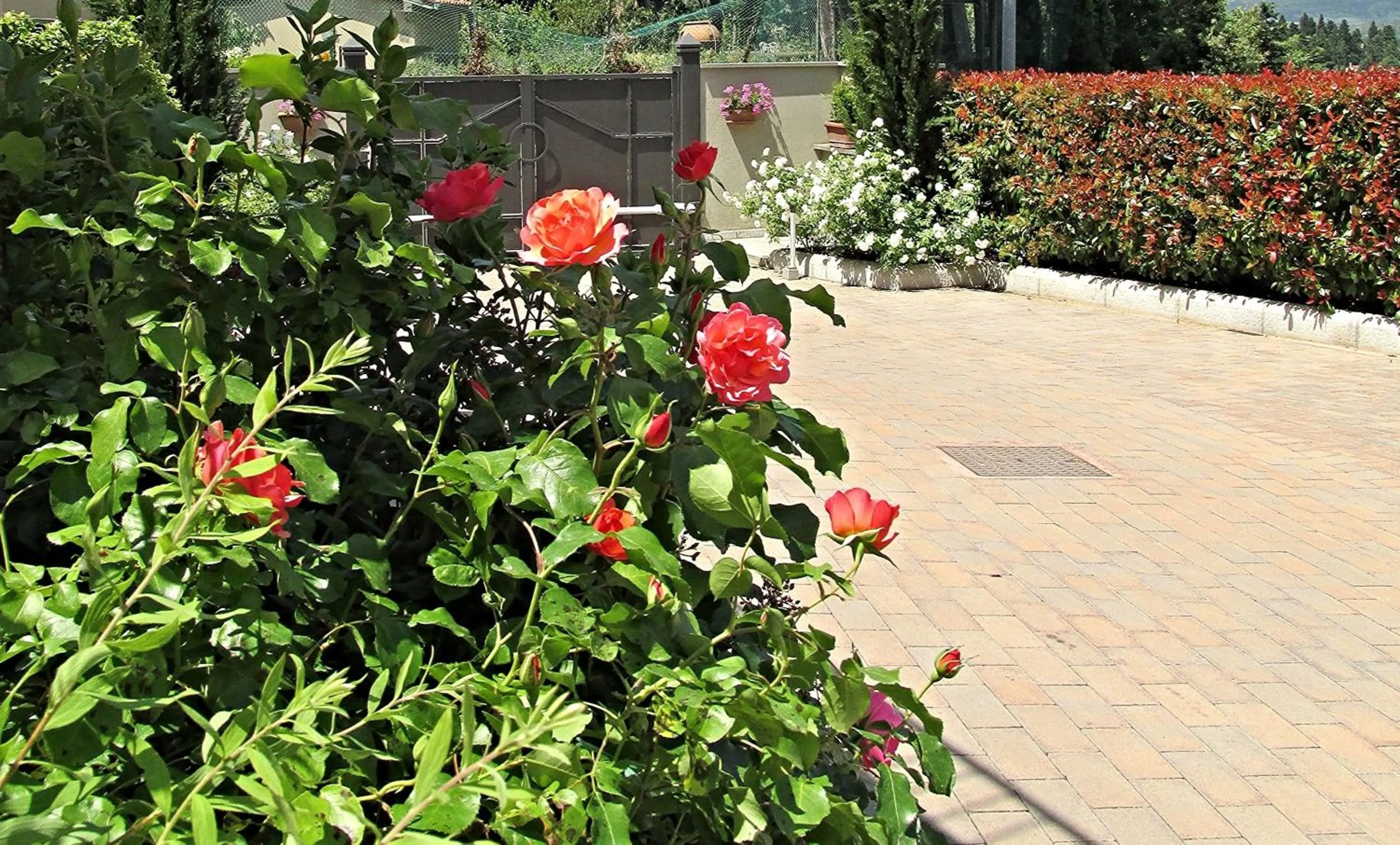 Garden in Residence Fiesole